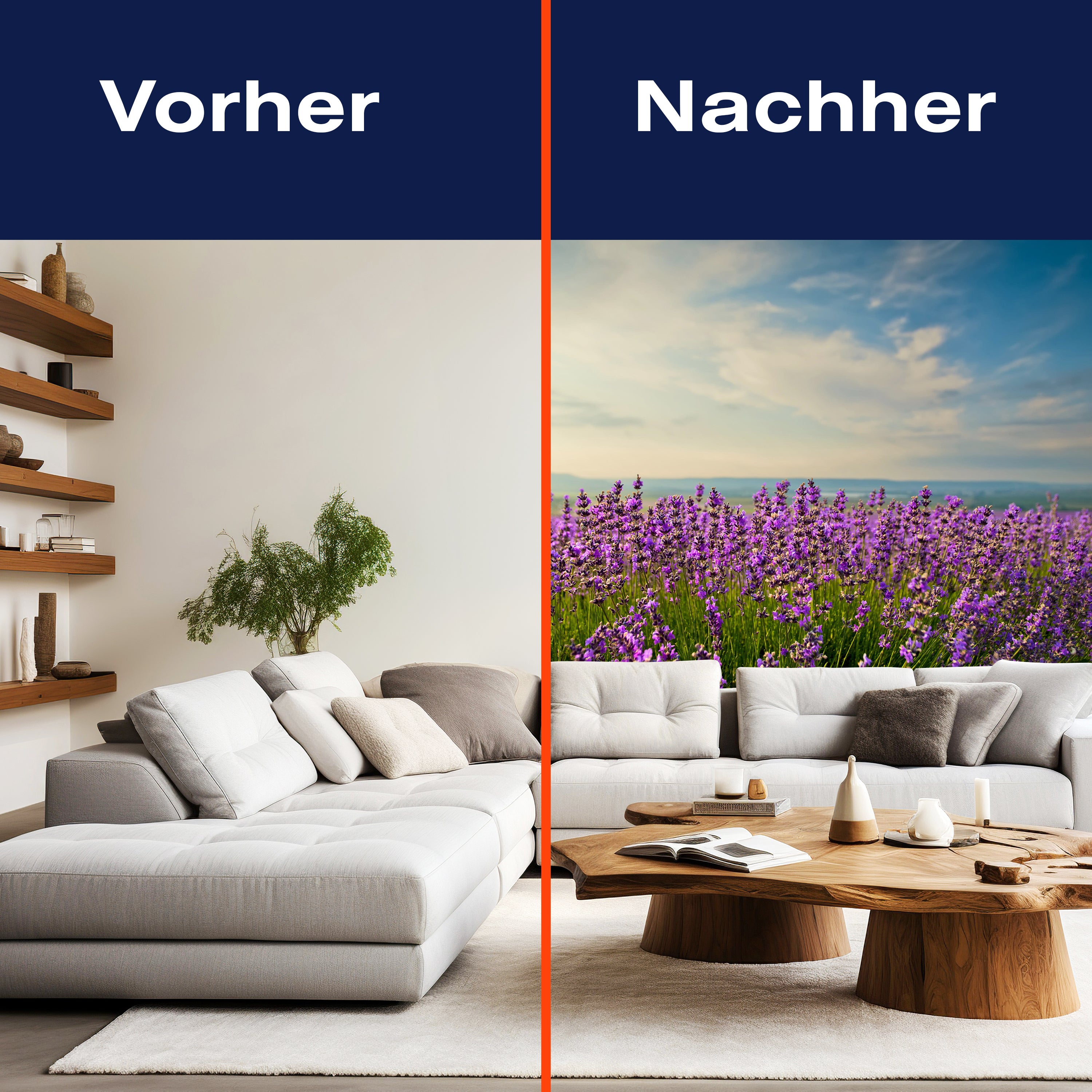 Fototapete Lavendel M0411 - Bild 9 Fototapete Lavendel M0411 - Bild 9