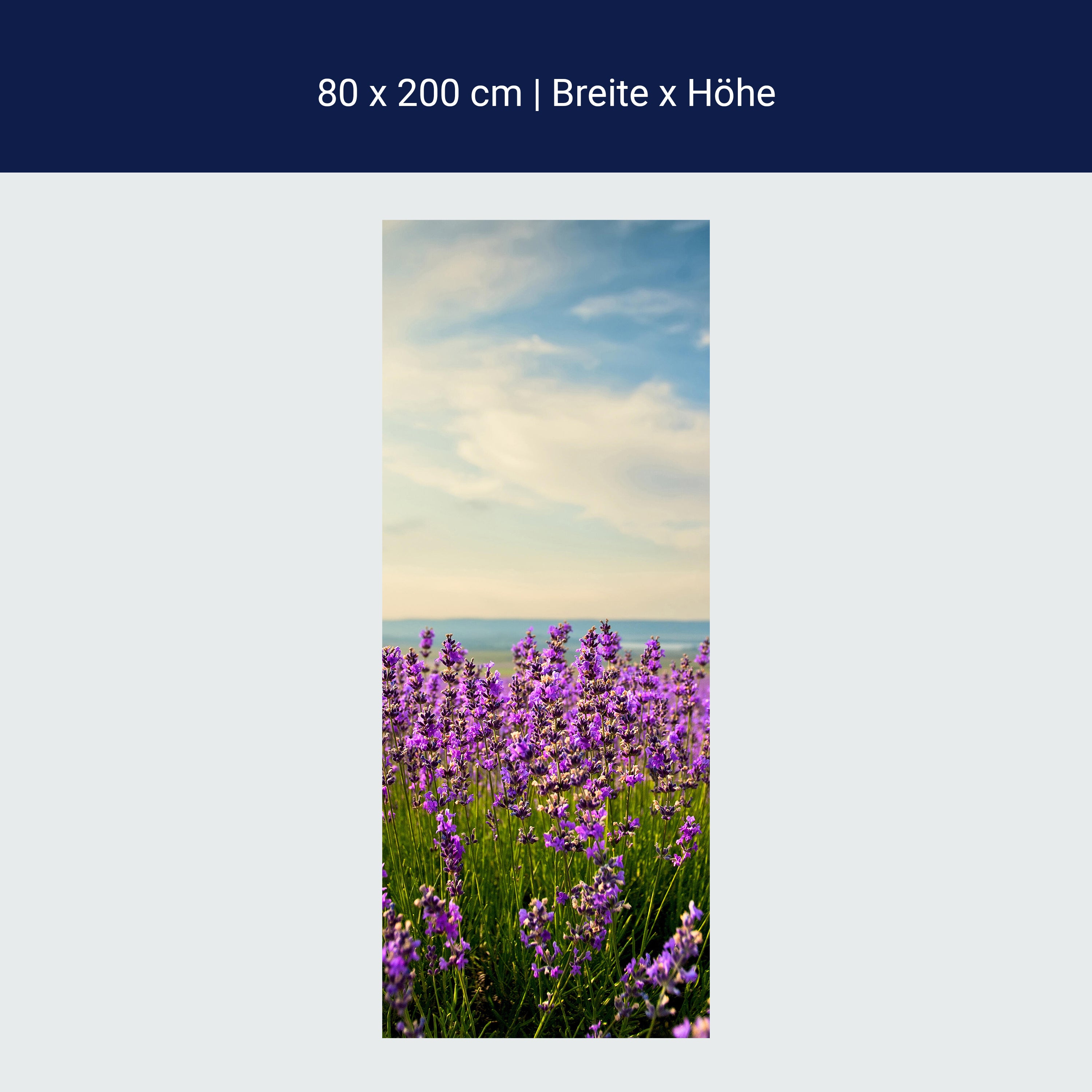Türtapete Lavendel M0411 Türtapete Lavendel M0411