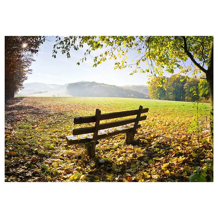 Fototapete Parkbank im Herbst M0415 - Bild 2 Fototapete Parkbank im Herbst M0415 - Bild 2