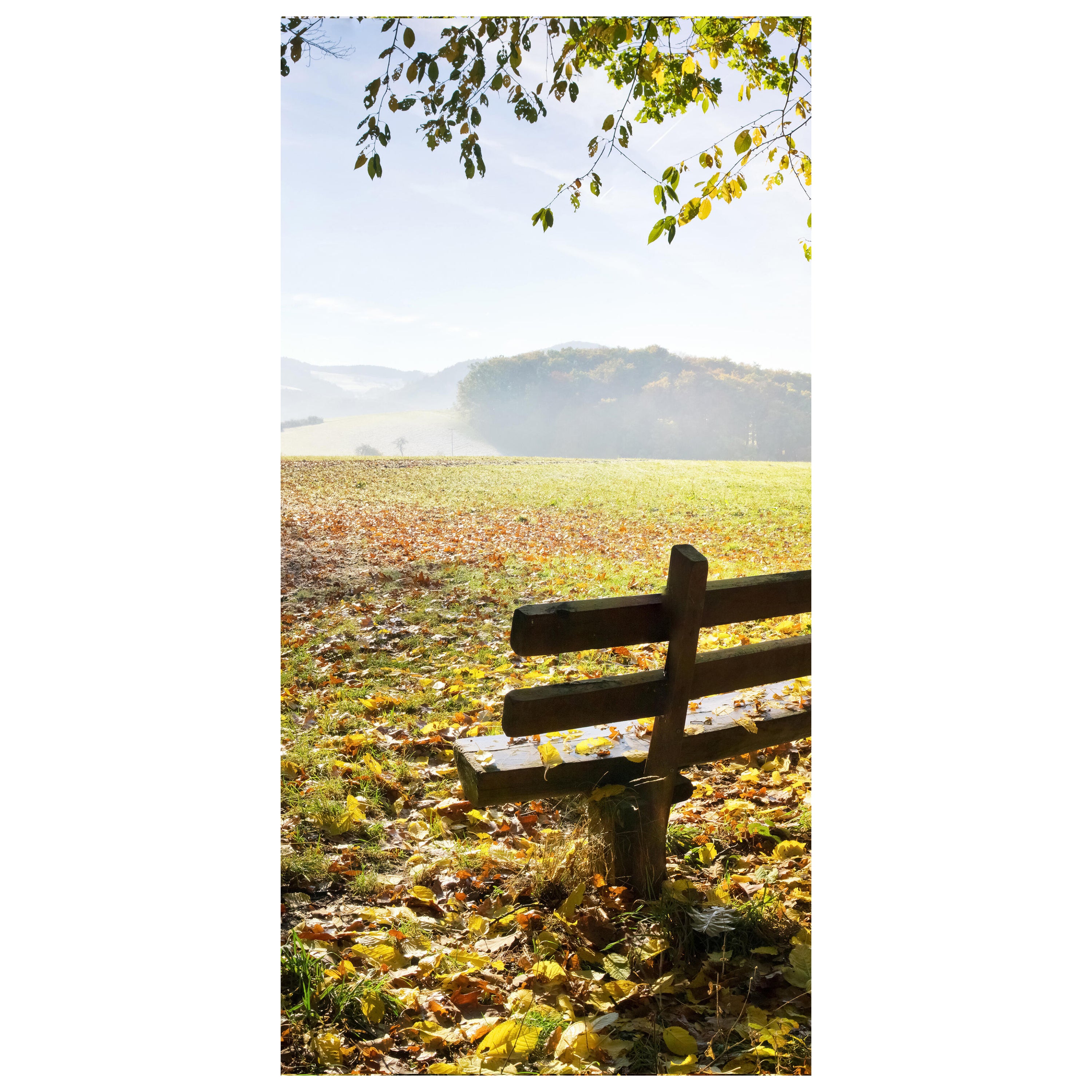 Türtapete Parkbank im Herbst M0415 - Bild 2 Türtapete Parkbank im Herbst M0415 - Bild 2