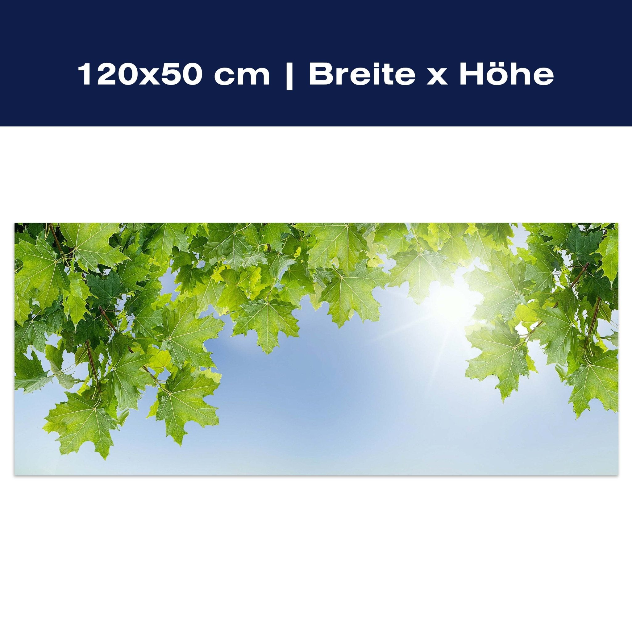 Leinwandbild Weißer Zaun mit Ahornzweigen M0419 Leinwandbild Weißer Zaun mit Ahornzweigen M0419