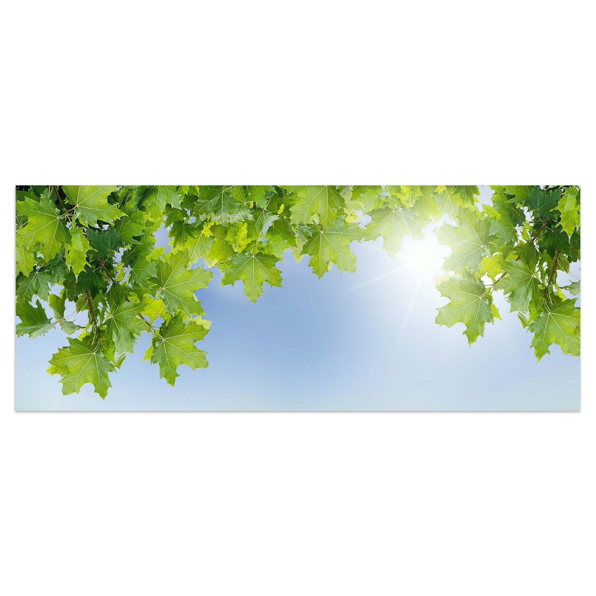 Leinwandbild Weißer Zaun mit Ahornzweigen M0419 kaufen - Bild 1 Leinwandbild Weißer Zaun mit Ahornzweigen M0419 kaufen - Bild 1