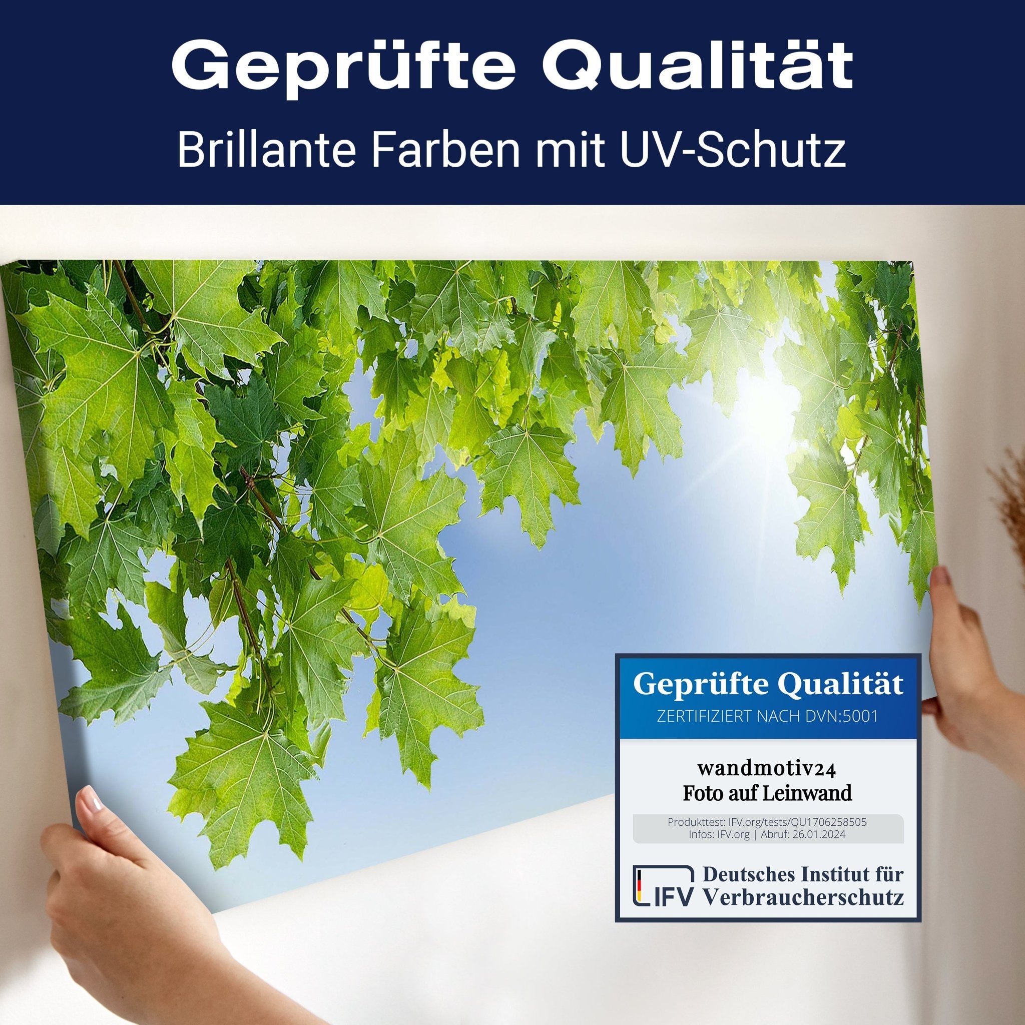 Leinwandbild Weißer Zaun mit Ahornzweigen M0419 kaufen - Bild 4 Leinwandbild Weißer Zaun mit Ahornzweigen M0419 kaufen - Bild 4