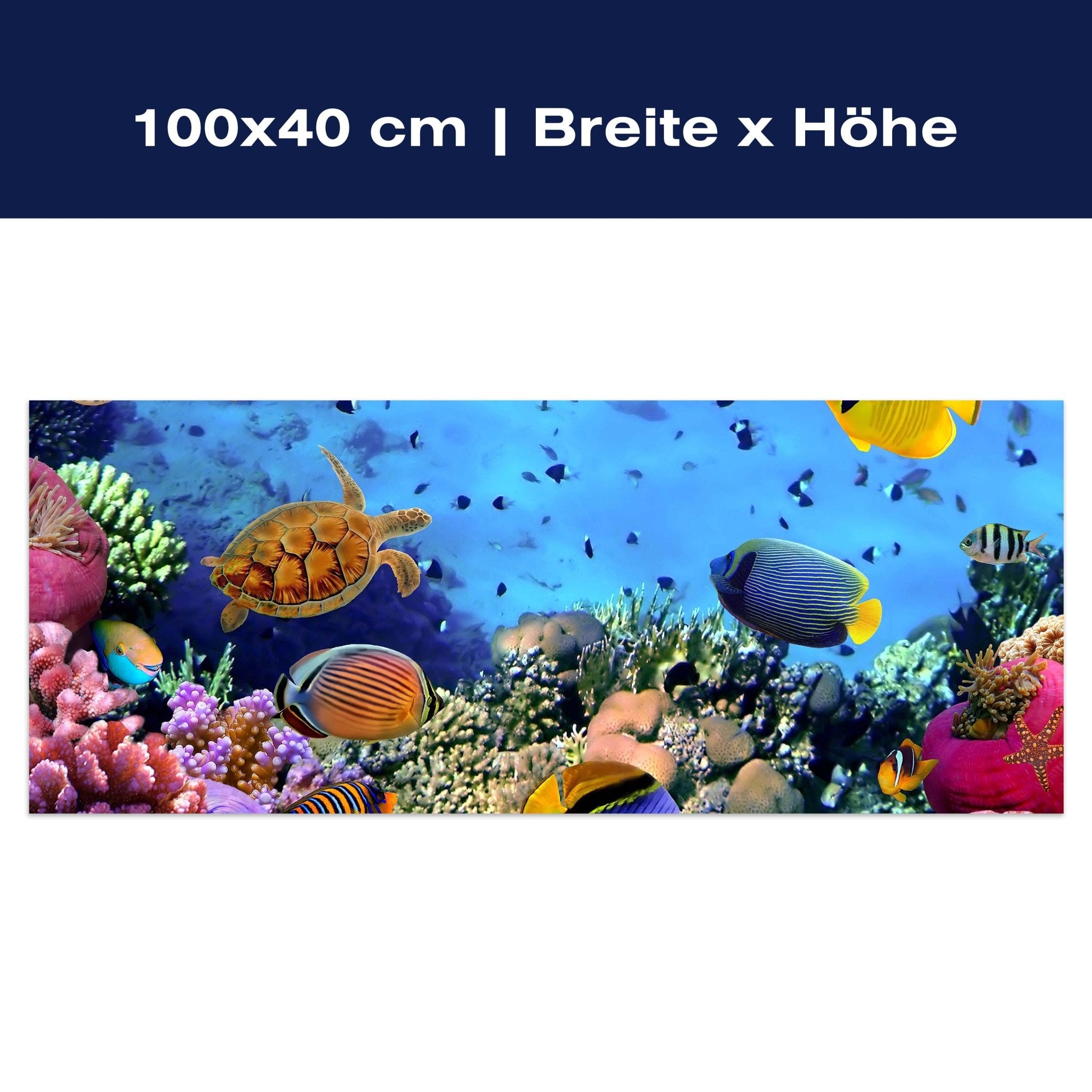 Leinwandbild Korallenriff mit Fischen M0480 Leinwandbild Korallenriff mit Fischen M0480