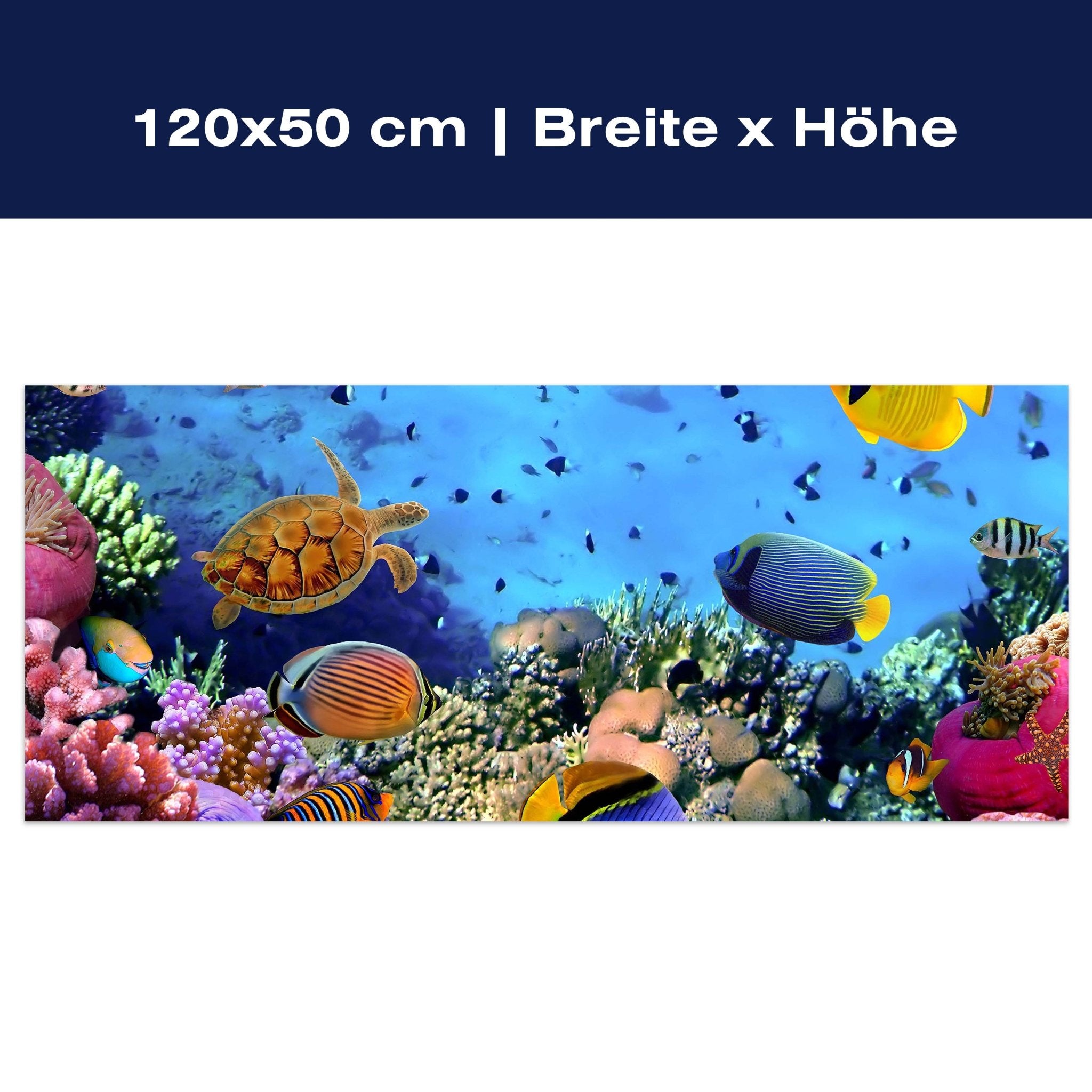 Leinwandbild Korallenriff mit Fischen M0480 Leinwandbild Korallenriff mit Fischen M0480