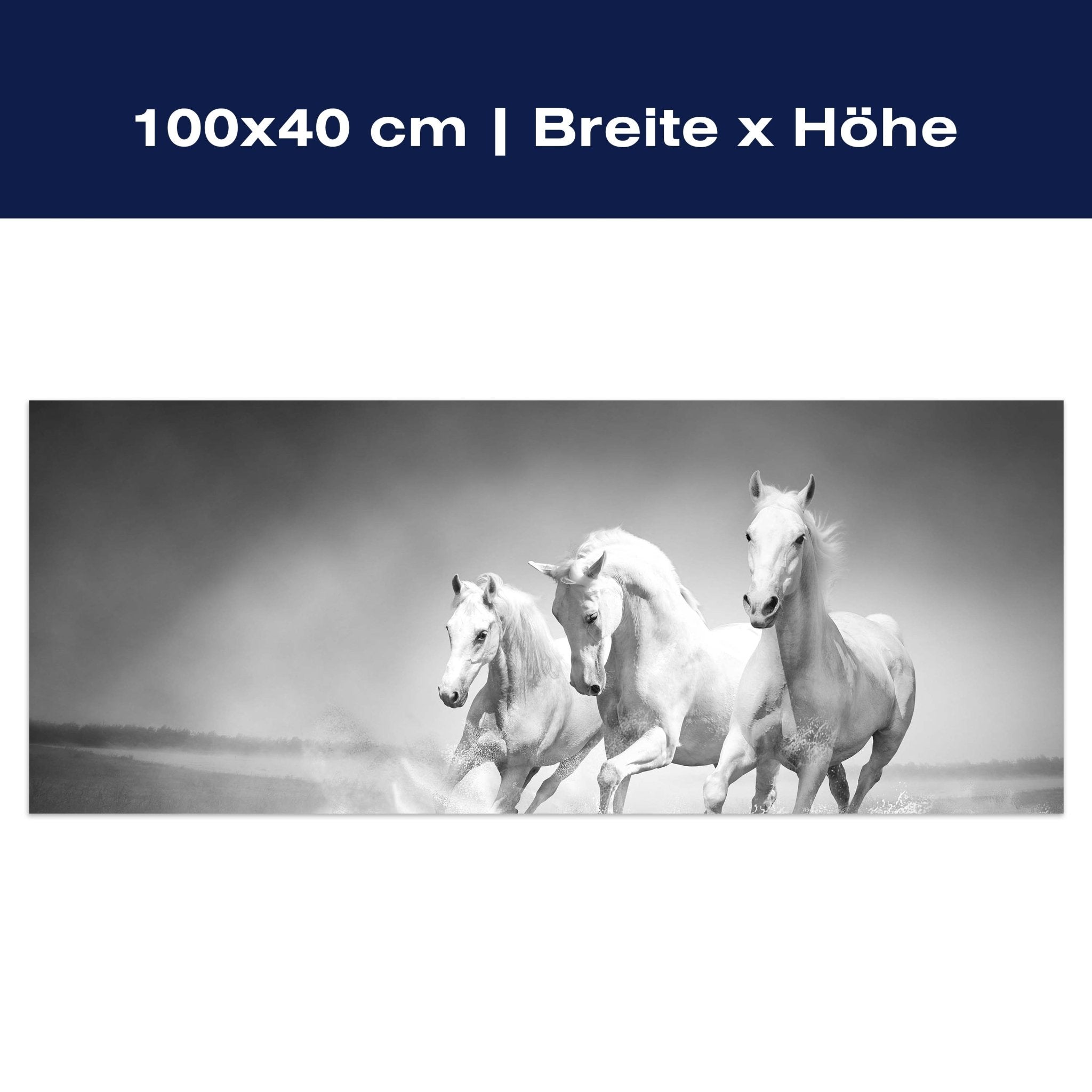 Leinwandbild weiße Traumpferde M0489 Leinwandbild weiße Traumpferde M0489