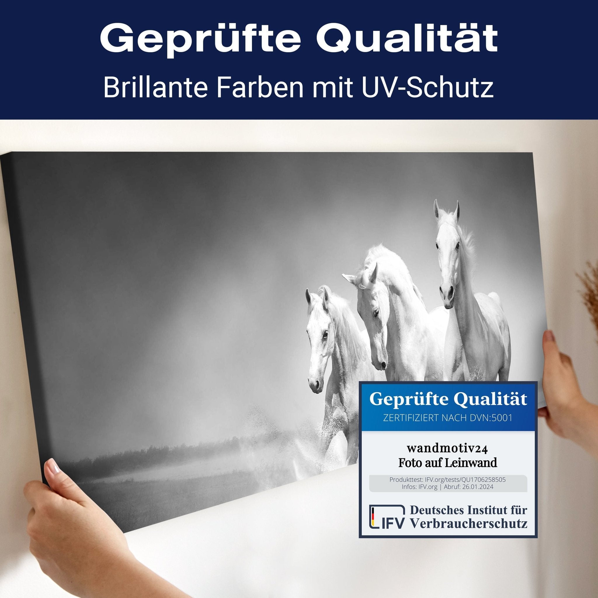 Leinwandbild weiße Traumpferde M0489 kaufen - Bild 4 Leinwandbild weiße Traumpferde M0489 kaufen - Bild 4