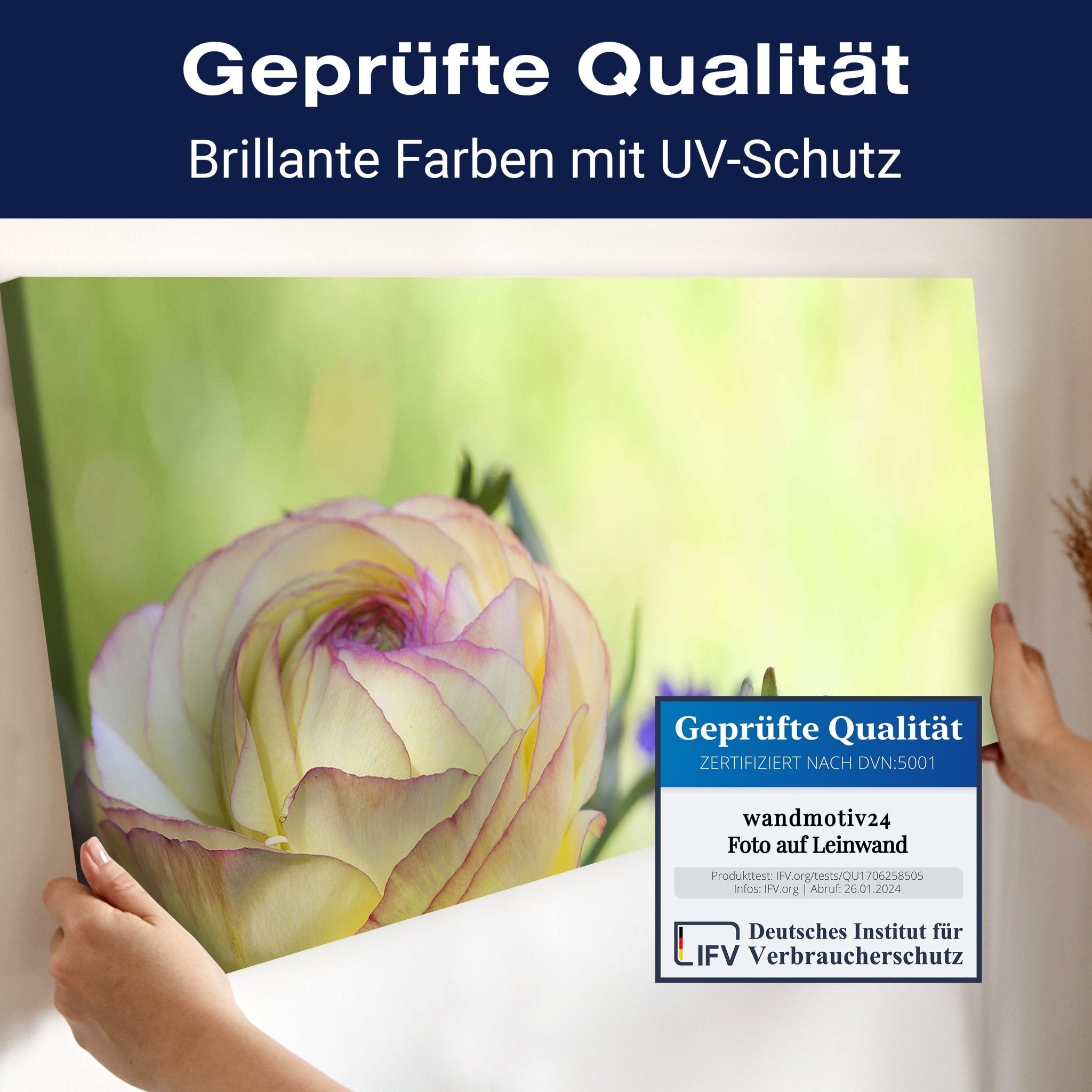 Leinwandbild Ranunkel M0492 kaufen - Bild 4 Leinwandbild Ranunkel M0492 kaufen - Bild 4