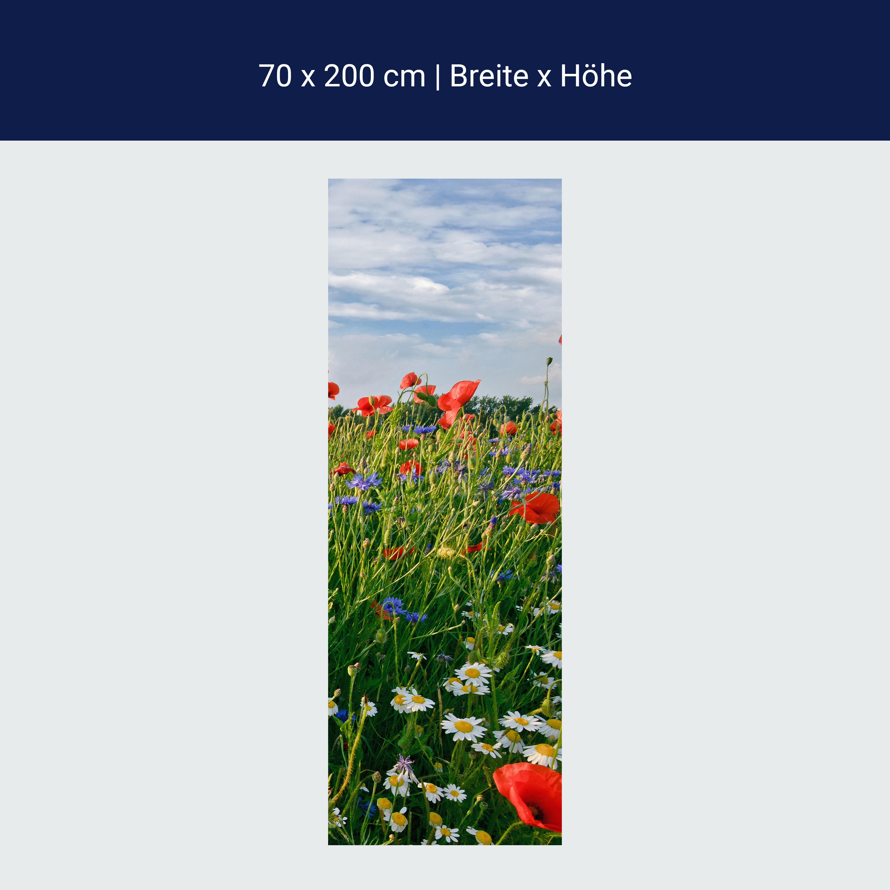 Türtapete Blumenwiese M0493 Türtapete Blumenwiese M0493