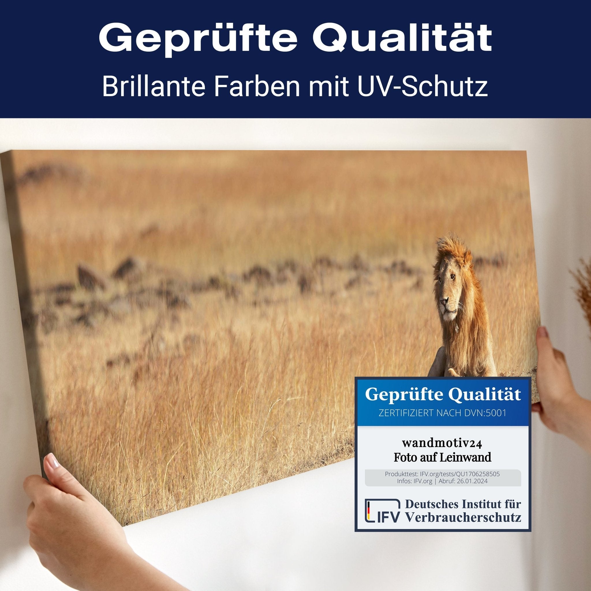 Leinwandbild König der Savanne M0515 kaufen - Bild 4 Leinwandbild König der Savanne M0515 kaufen - Bild 4