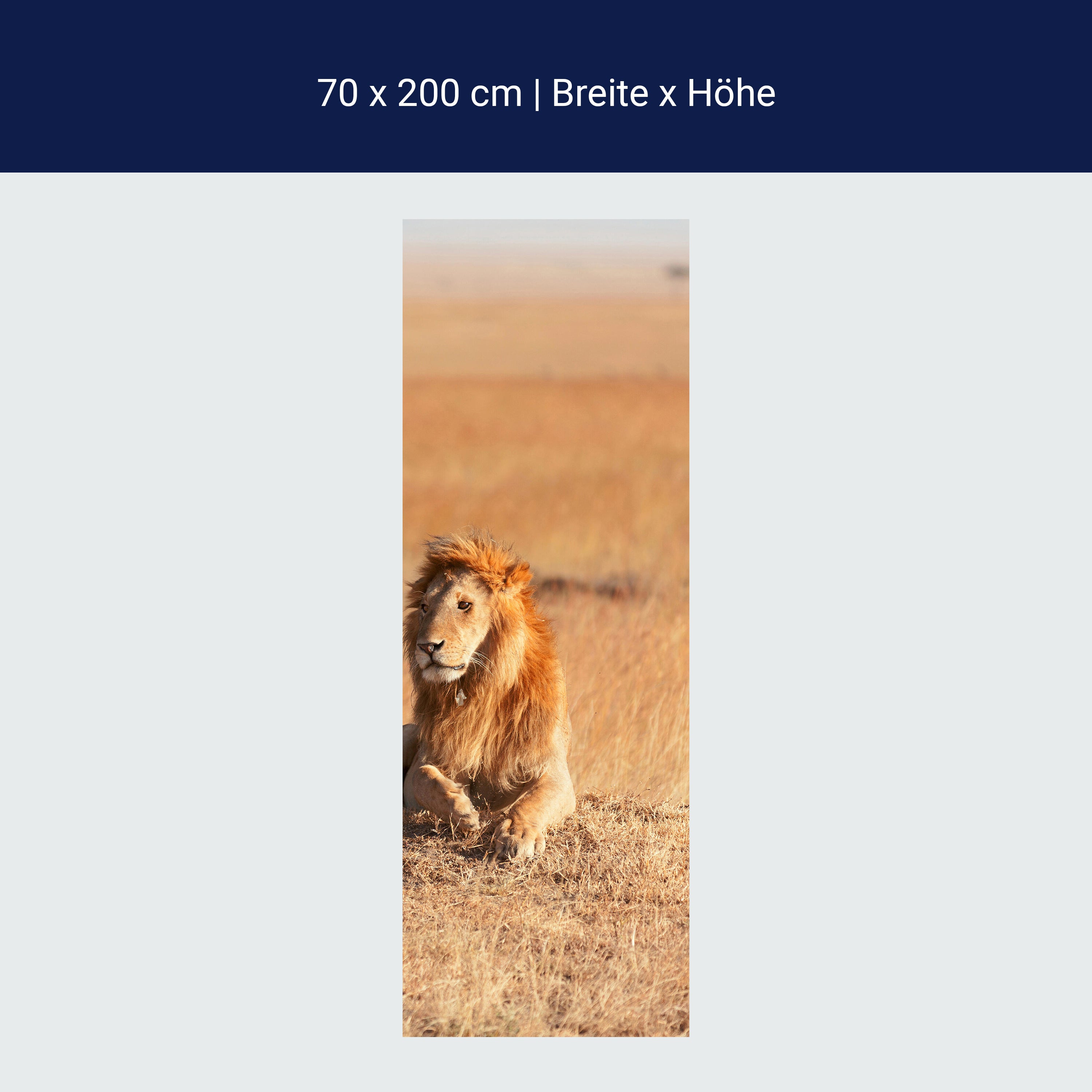 Türtapete König der Savanne M0515 Türtapete König der Savanne M0515