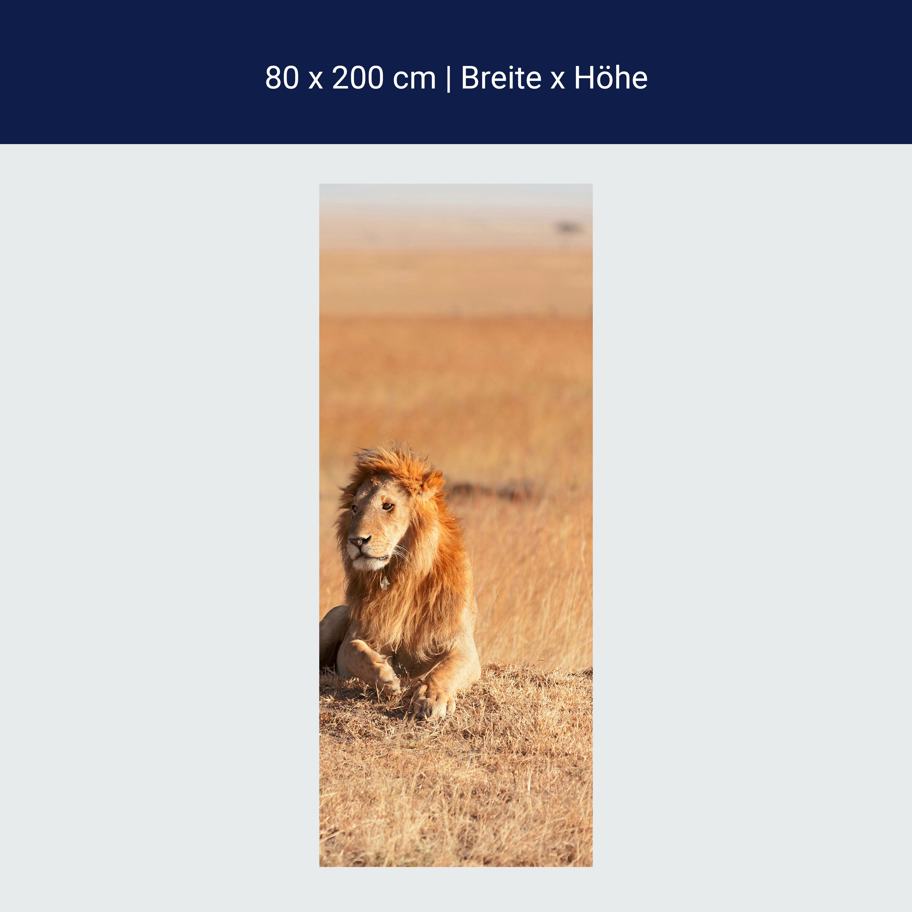 Türtapete König der Savanne M0515 Türtapete König der Savanne M0515