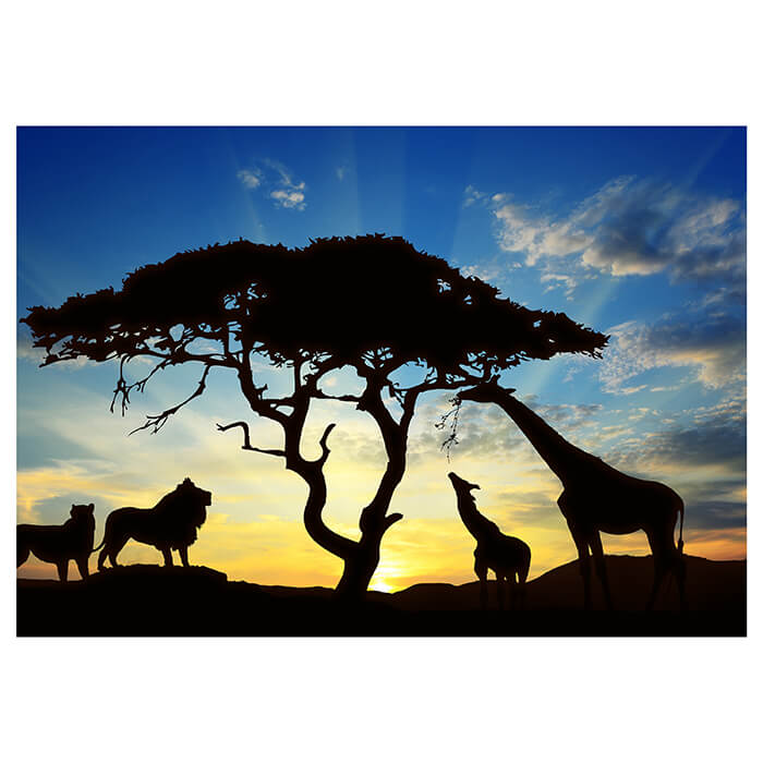 Fototapete Sonne Sonnenuntergang Afrika M0521 - Bild 2 Fototapete Sonne Sonnenuntergang Afrika M0521 - Bild 2