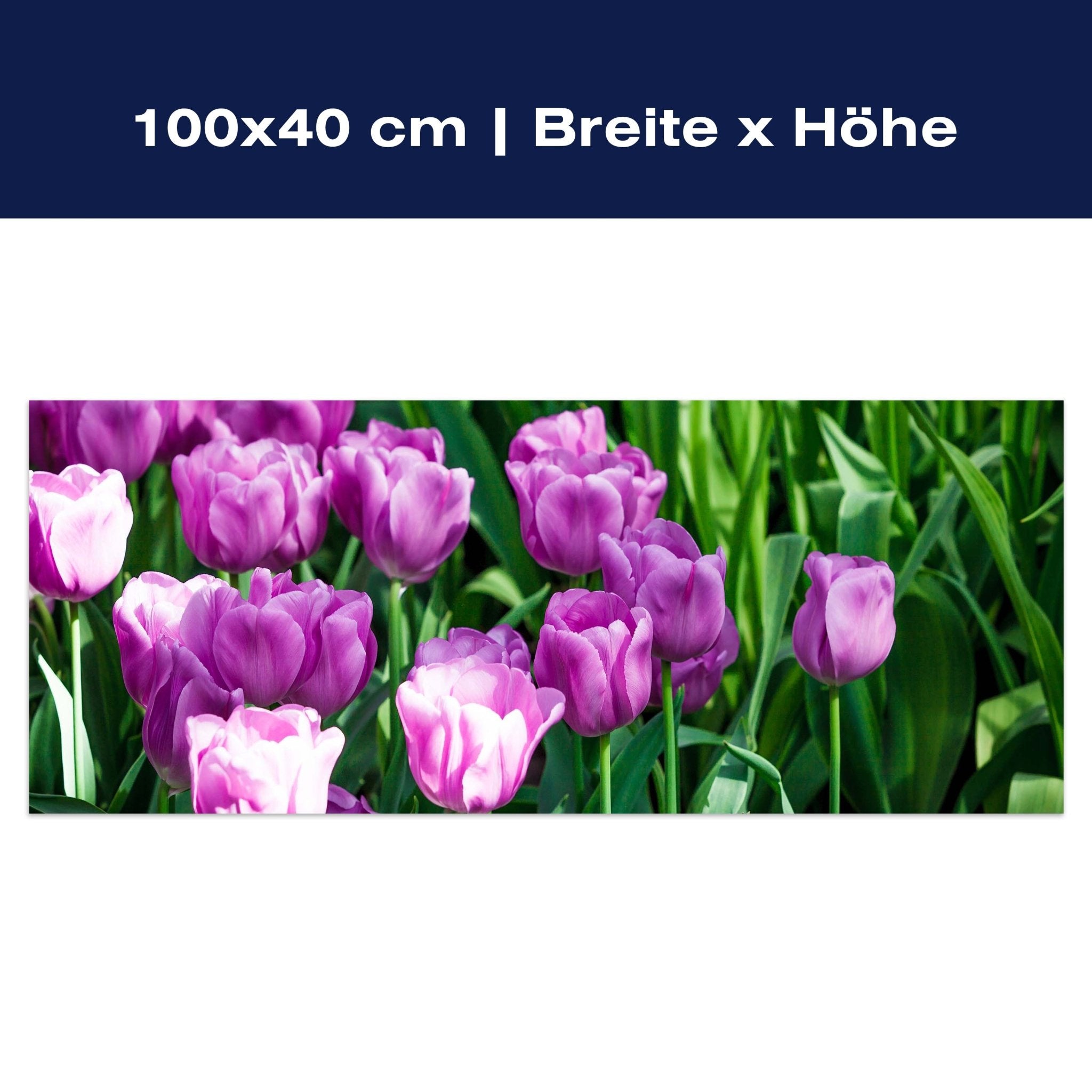 Leinwandbild Blütenblatt M0554 Leinwandbild Blütenblatt M0554