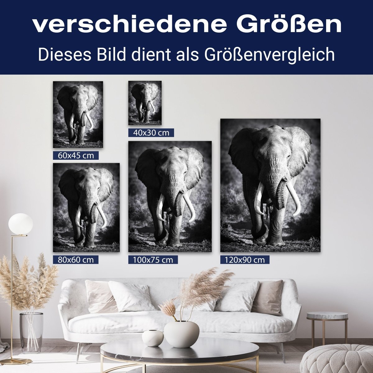 Leinwandbild Tiere, Elefant M0555 kaufen - Bild 8 Leinwandbild Tiere, Elefant M0555 kaufen - Bild 8
