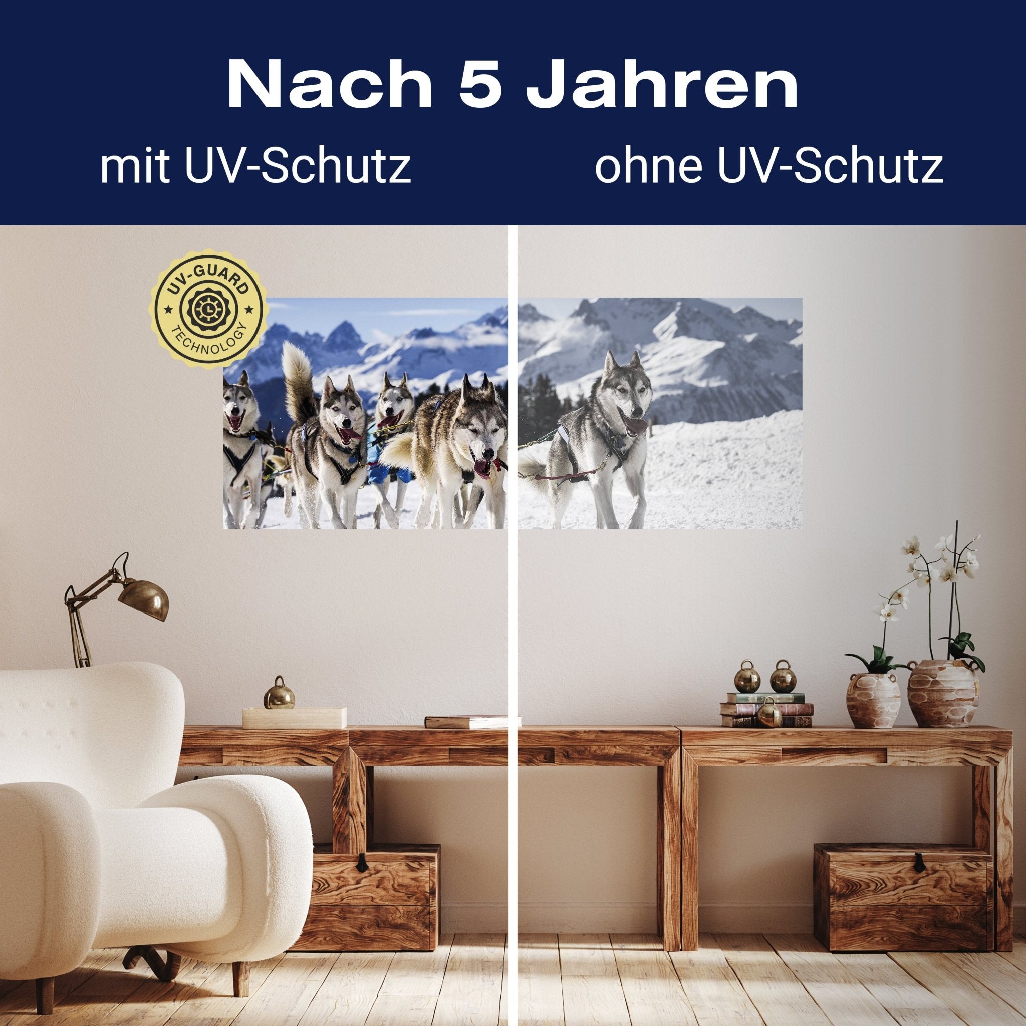 Leinwandbild Schlittenhunde in Speed Racing M0559 kaufen - Bild 9 Leinwandbild Schlittenhunde in Speed Racing M0559 kaufen - Bild 9