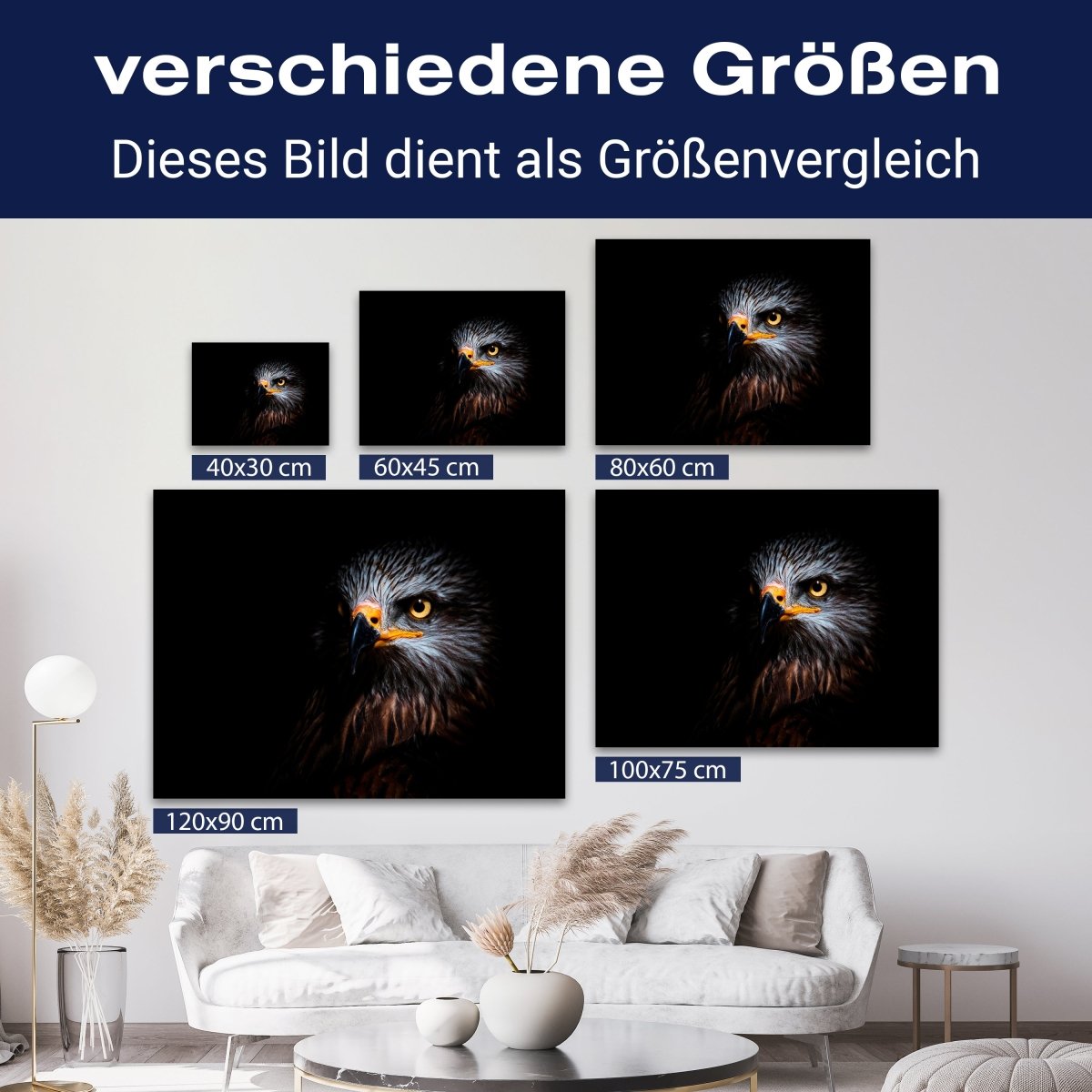 Leinwandbild Tiere, Adler M0569 kaufen - Bild 8 Leinwandbild Tiere, Adler M0569 kaufen - Bild 8