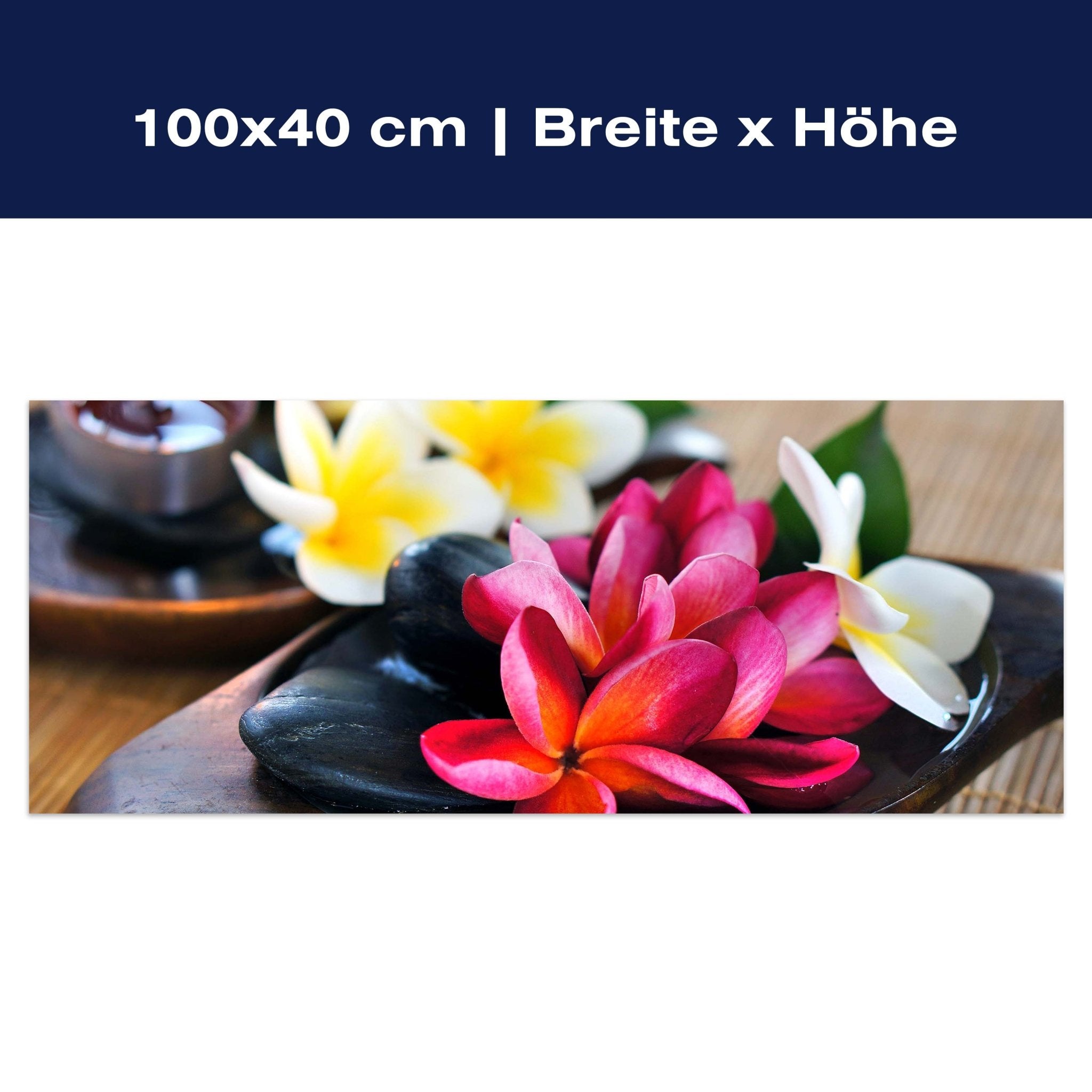 Leinwandbild Fangipani Blumen M0570 Leinwandbild Fangipani Blumen M0570