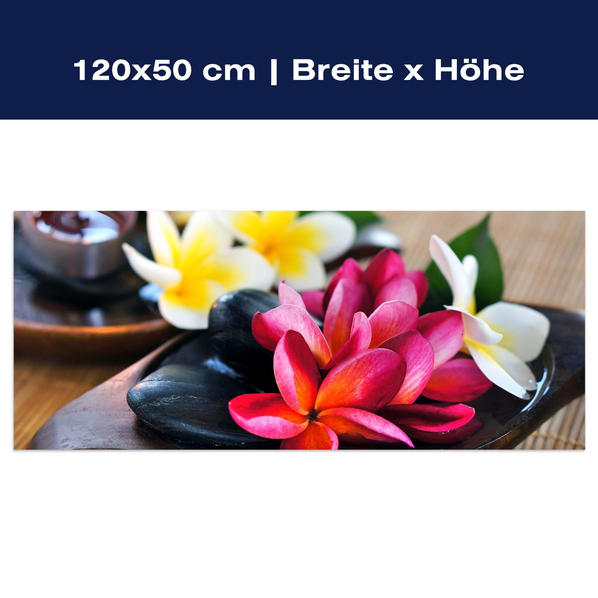 Leinwandbild Fangipani Blumen M0570 Leinwandbild Fangipani Blumen M0570