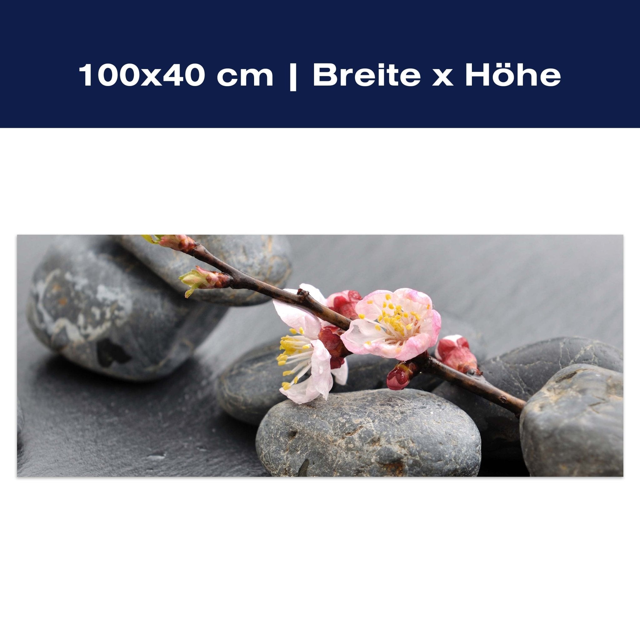 Leinwandbild Blumenast und Steine M0571 Leinwandbild Blumenast und Steine M0571