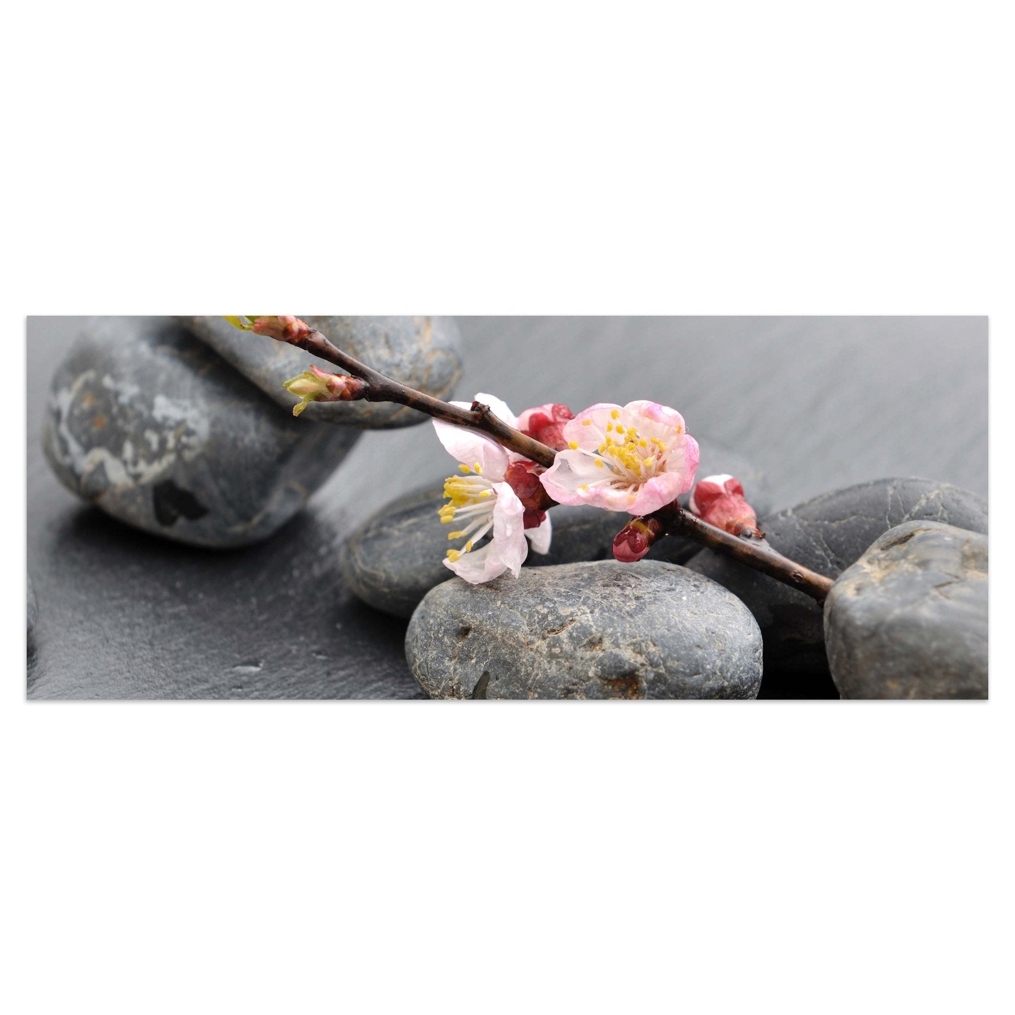 Leinwandbild Blumenast und Steine M0571 kaufen - Bild 1 Leinwandbild Blumenast und Steine M0571 kaufen - Bild 1