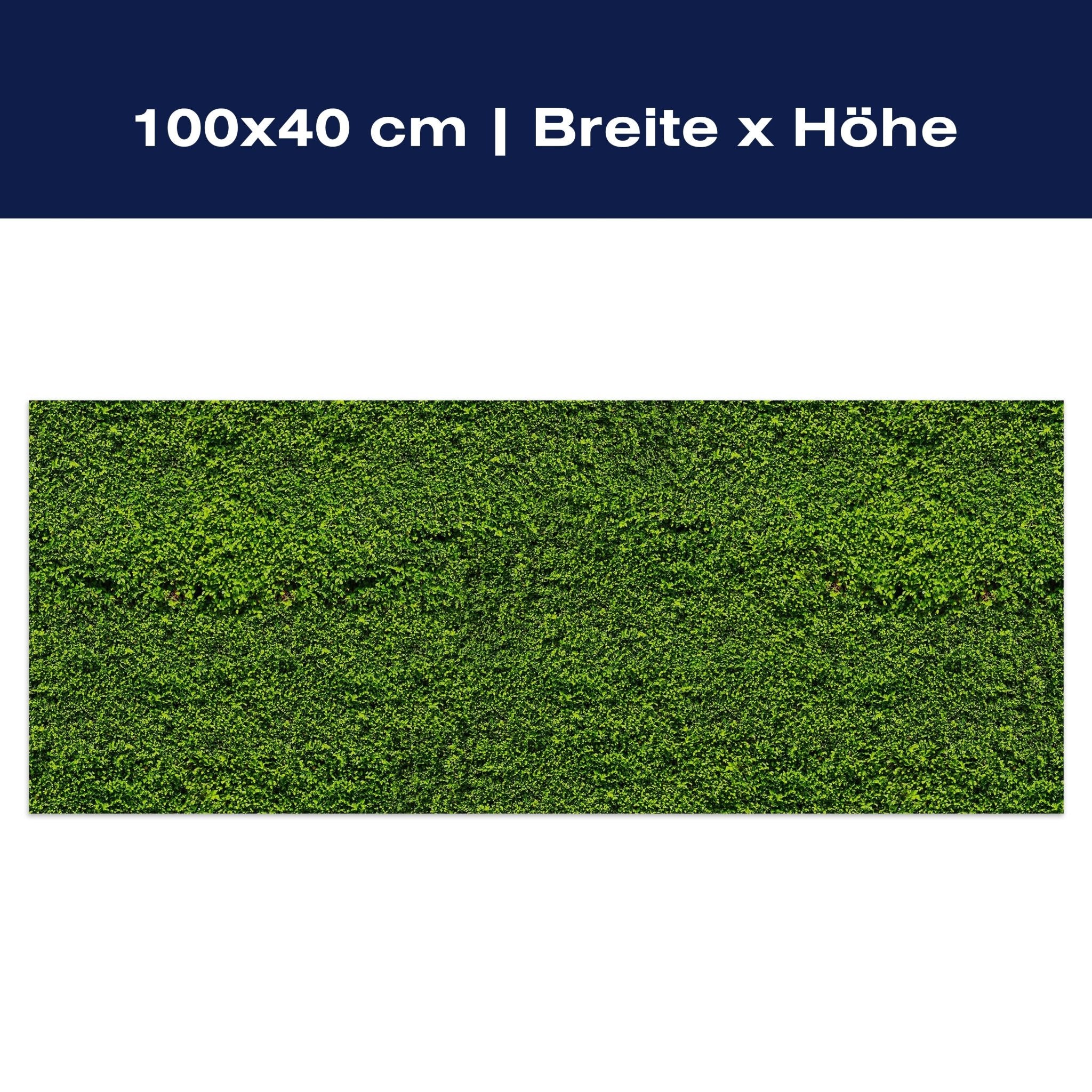 Leinwandbild Grüne Mauer M0572 Leinwandbild Grüne Mauer M0572