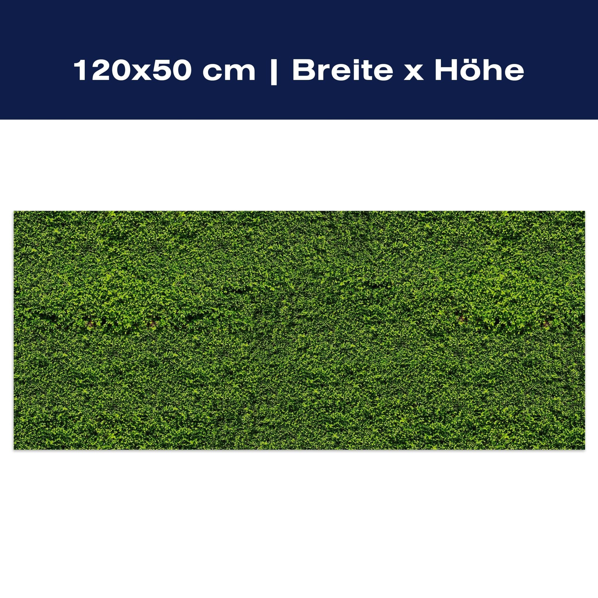 Leinwandbild Grüne Mauer M0572 Leinwandbild Grüne Mauer M0572