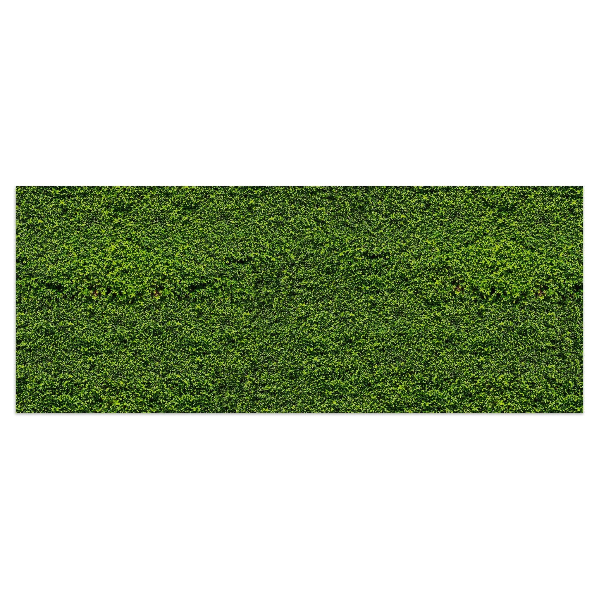 Leinwandbild Grüne Mauer M0572 kaufen - Bild 1 Leinwandbild Grüne Mauer M0572 kaufen - Bild 1