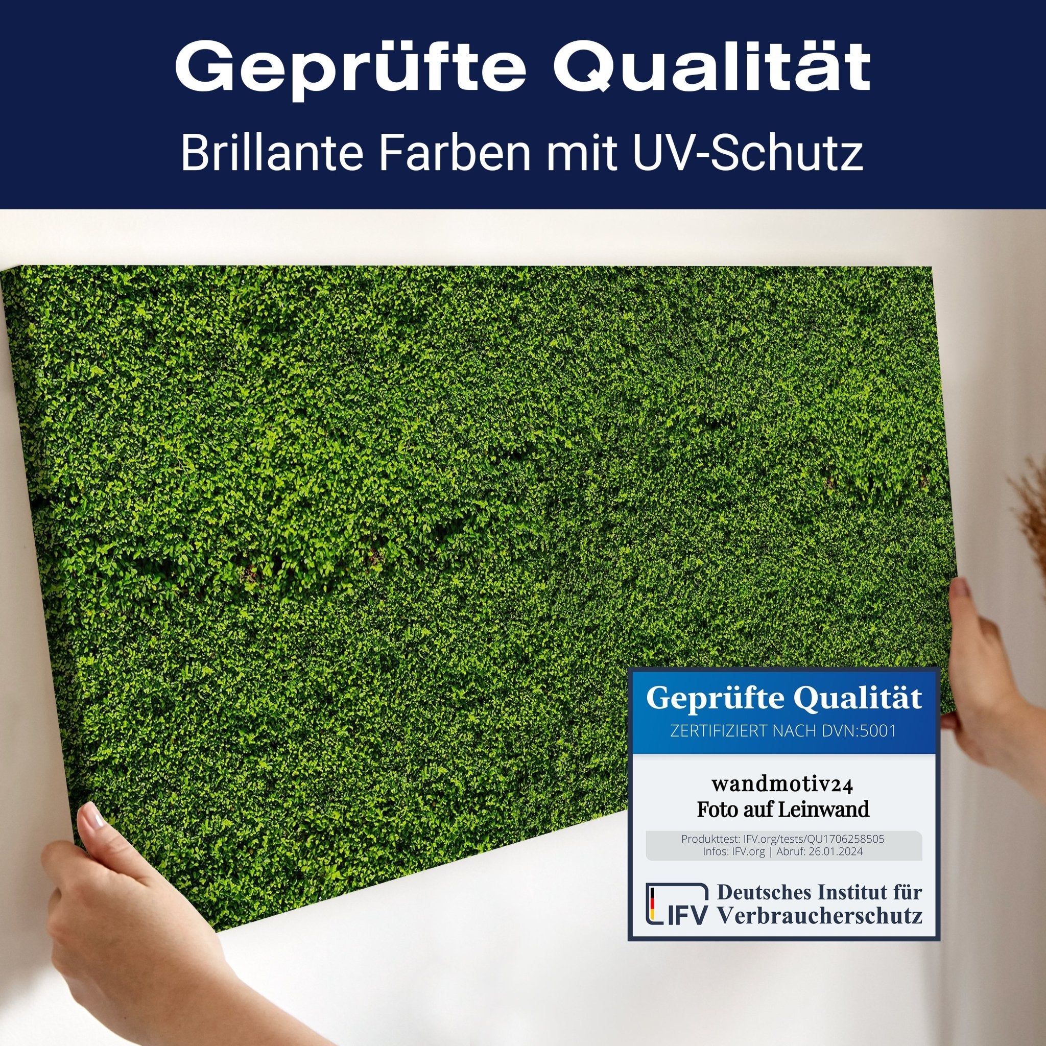 Leinwandbild Grüne Mauer M0572 kaufen - Bild 4 Leinwandbild Grüne Mauer M0572 kaufen - Bild 4