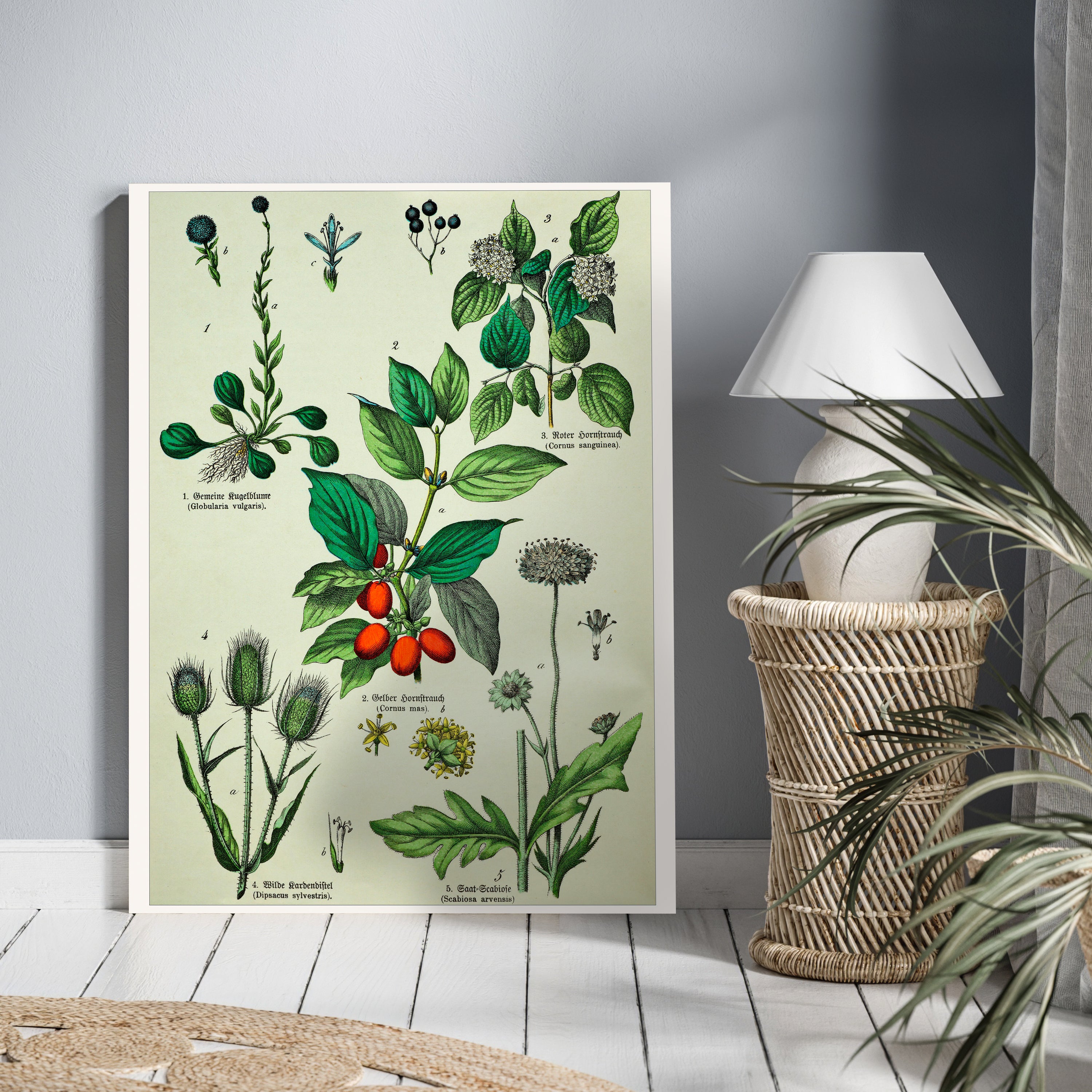 Leinwandbild Vintage, Pflanzen, Illustration, Hochformat M0681 kaufen - Bild 2 Leinwandbild Vintage, Pflanzen, Illustration, Hochformat M0681 kaufen - Bild 2