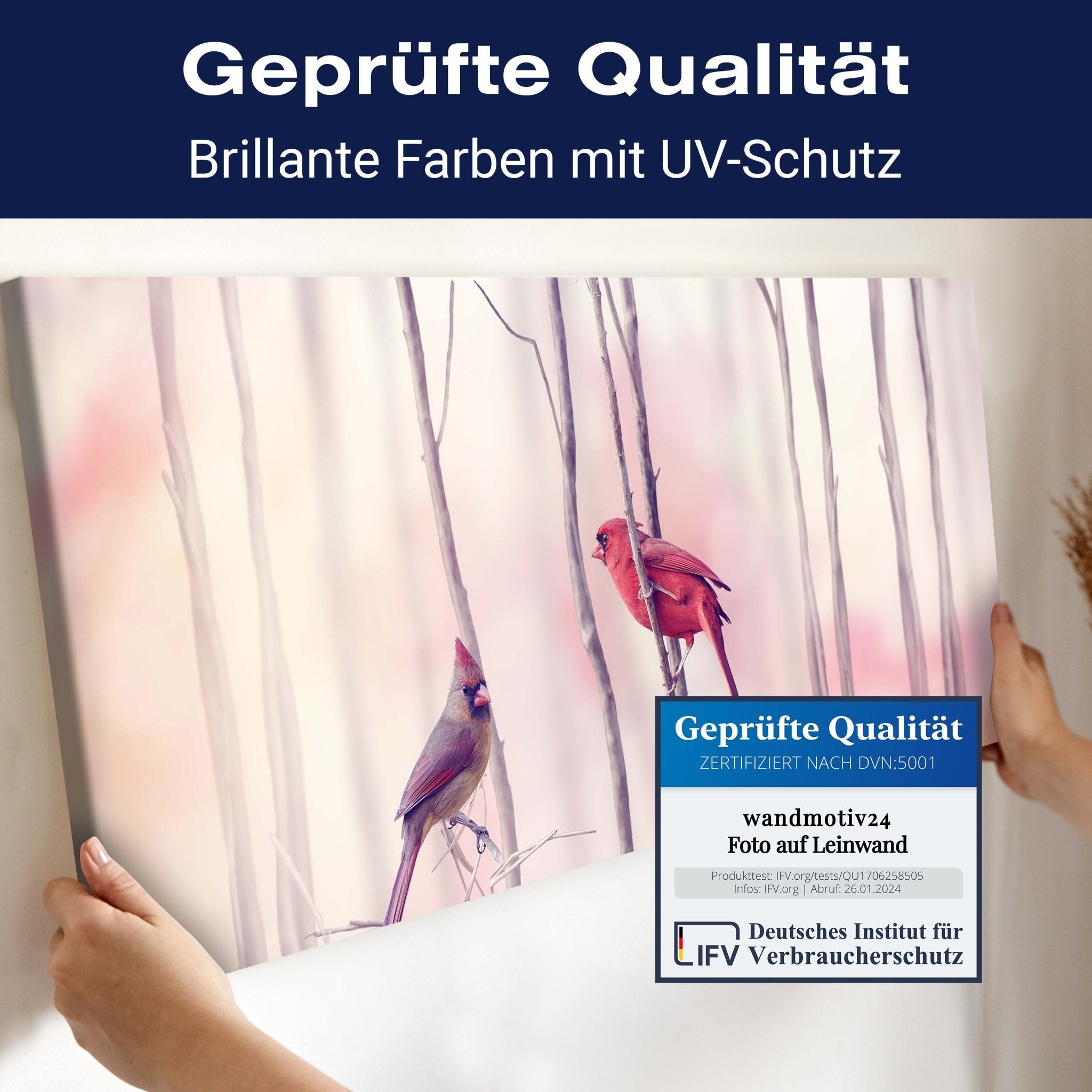 Leinwandbild Kardinalvögel M0718 kaufen - Bild 4 Leinwandbild Kardinalvögel M0718 kaufen - Bild 4