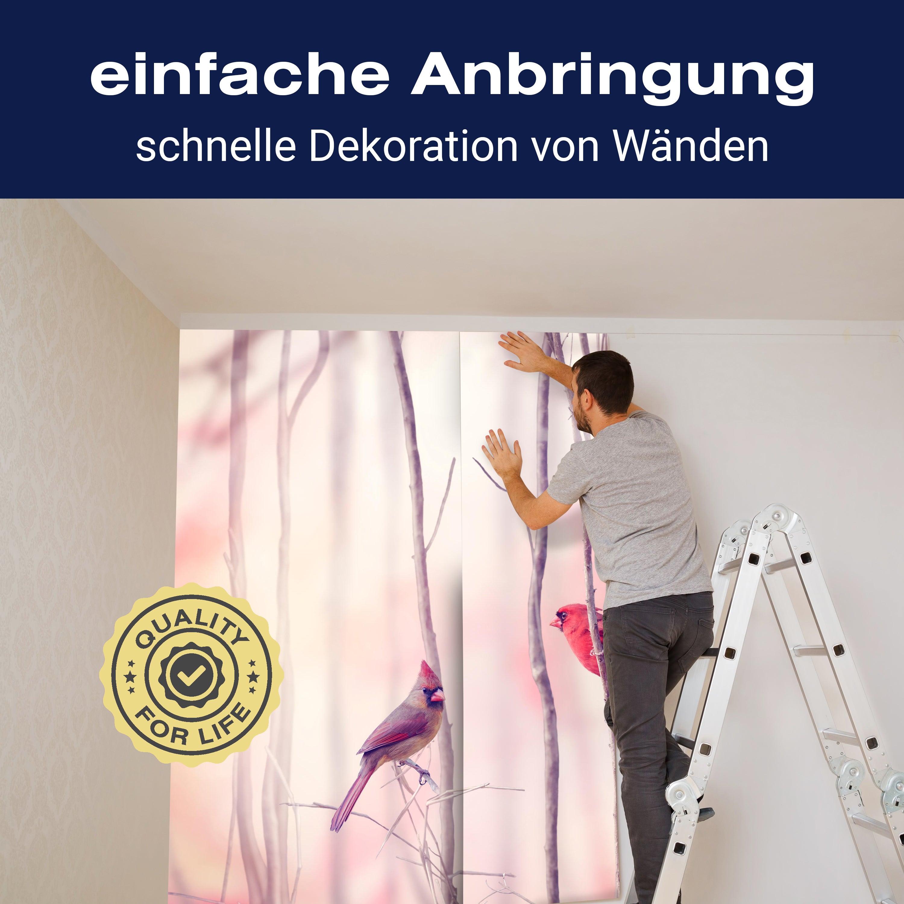 Fototapete Vögel Kardinal Wald M0718 - Bild 3 Fototapete Vögel Kardinal Wald M0718 - Bild 3