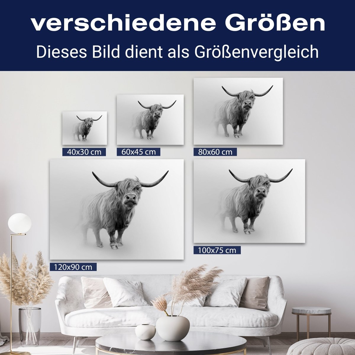 Leinwandbild Hochlandrind, Bulle, Querformat M0772 kaufen - Bild 8 Leinwandbild Hochlandrind, Bulle, Querformat M0772 kaufen - Bild 8