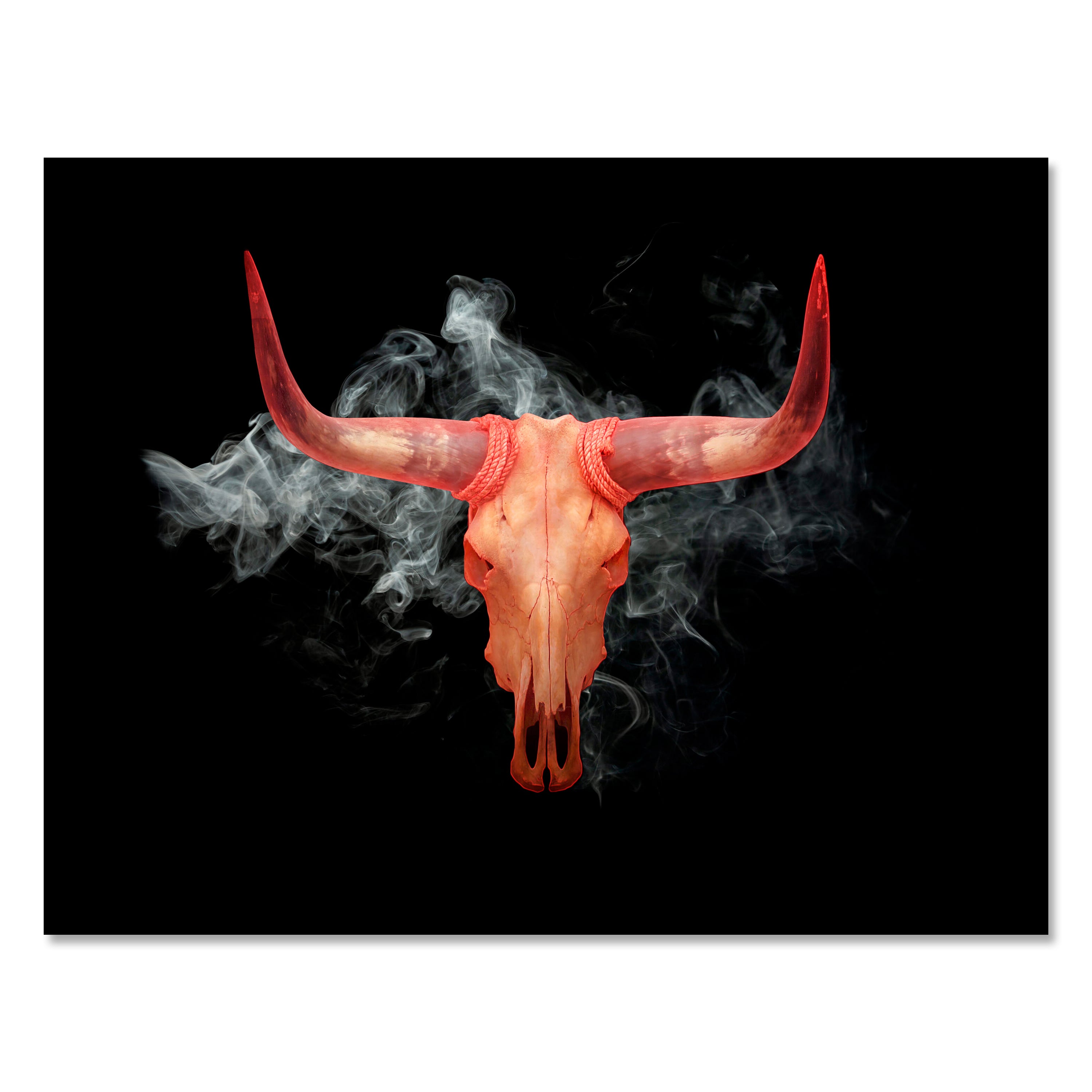 Leinwandbild Totenkopf, Schädel, Bulle, Querformat M0773 kaufen - Bild 1 Leinwandbild Totenkopf, Schädel, Bulle, Querformat M0773 kaufen - Bild 1