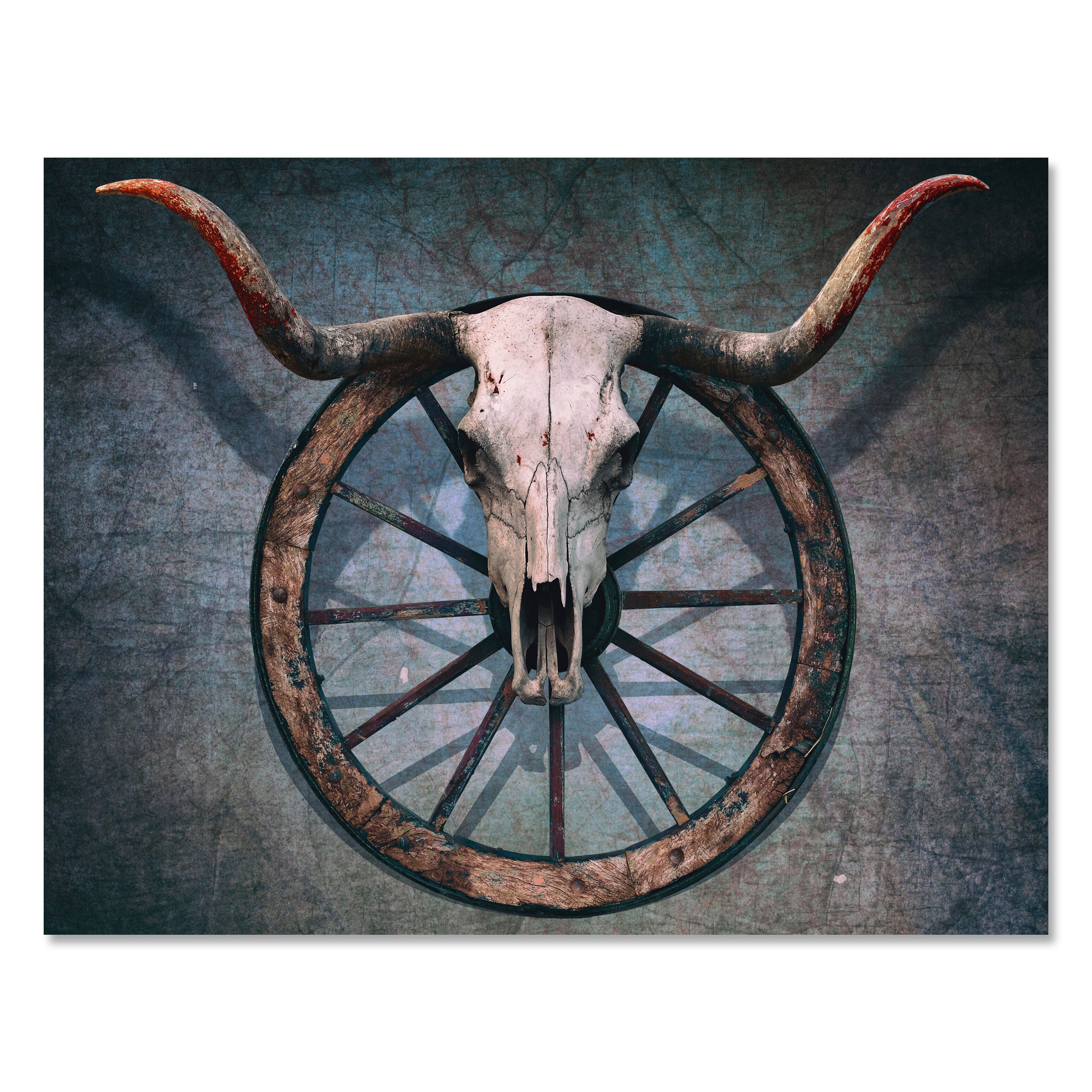 Leinwandbild Totenkopf, Schädel, Bulle, Querformat M0774 kaufen - Bild 1 Leinwandbild Totenkopf, Schädel, Bulle, Querformat M0774 kaufen - Bild 1