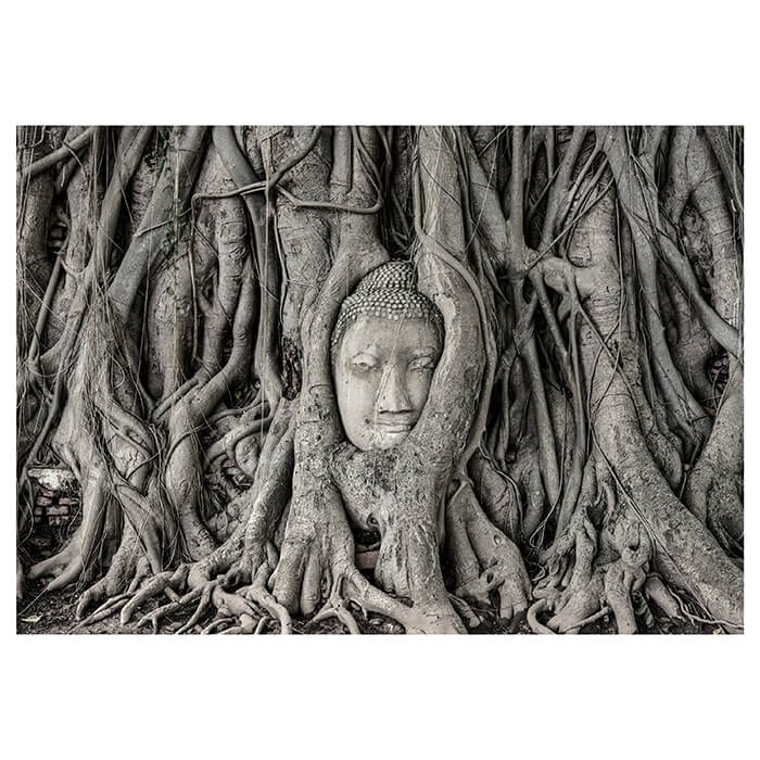 Fototapete Baum Wurzel Statue 2 M0783 - Bild 2 Fototapete Baum Wurzel Statue 2 M0783 - Bild 2