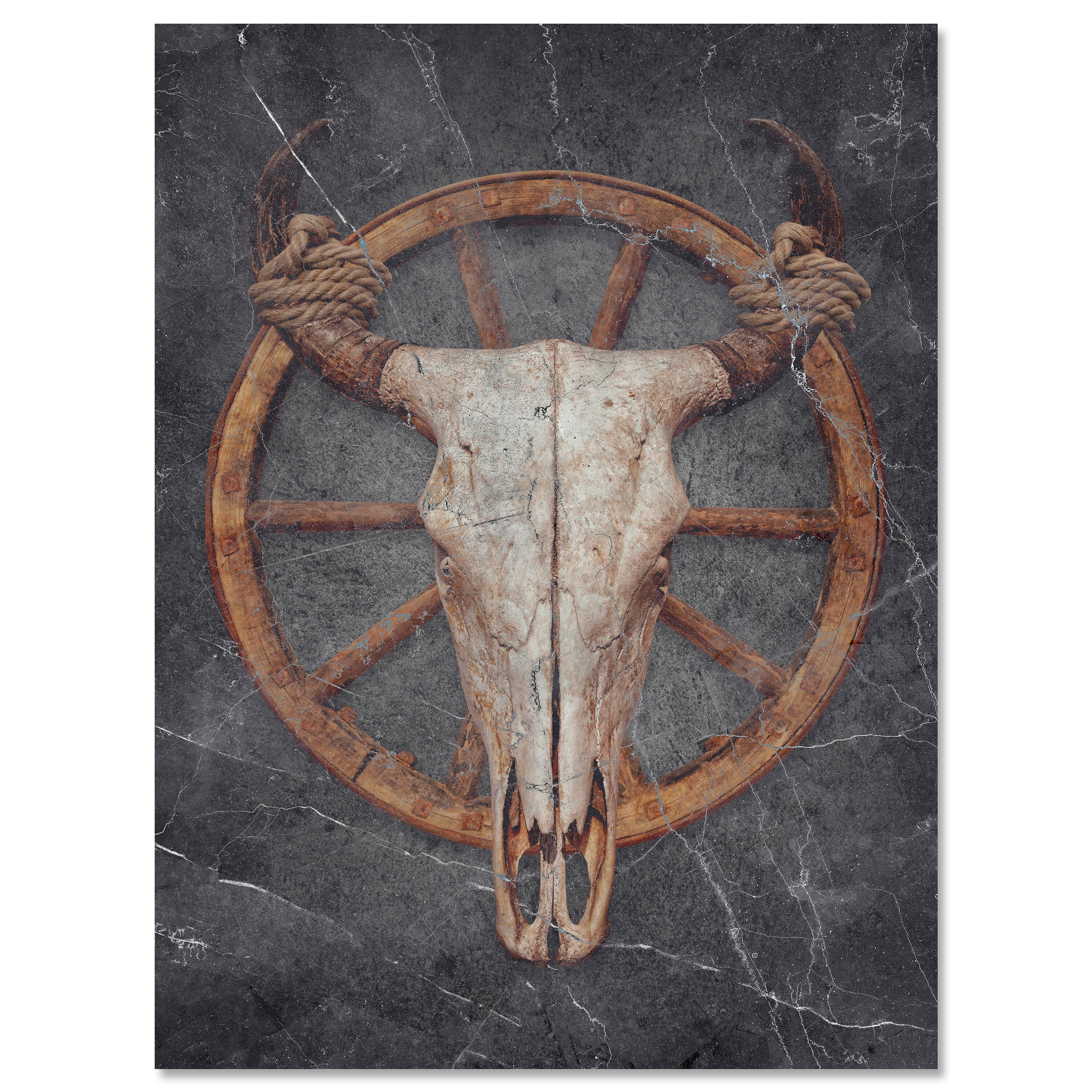 Leinwandbild Stier, Totenkopf, Hochformat M0787 kaufen - Bild 1 Leinwandbild Stier, Totenkopf, Hochformat M0787 kaufen - Bild 1