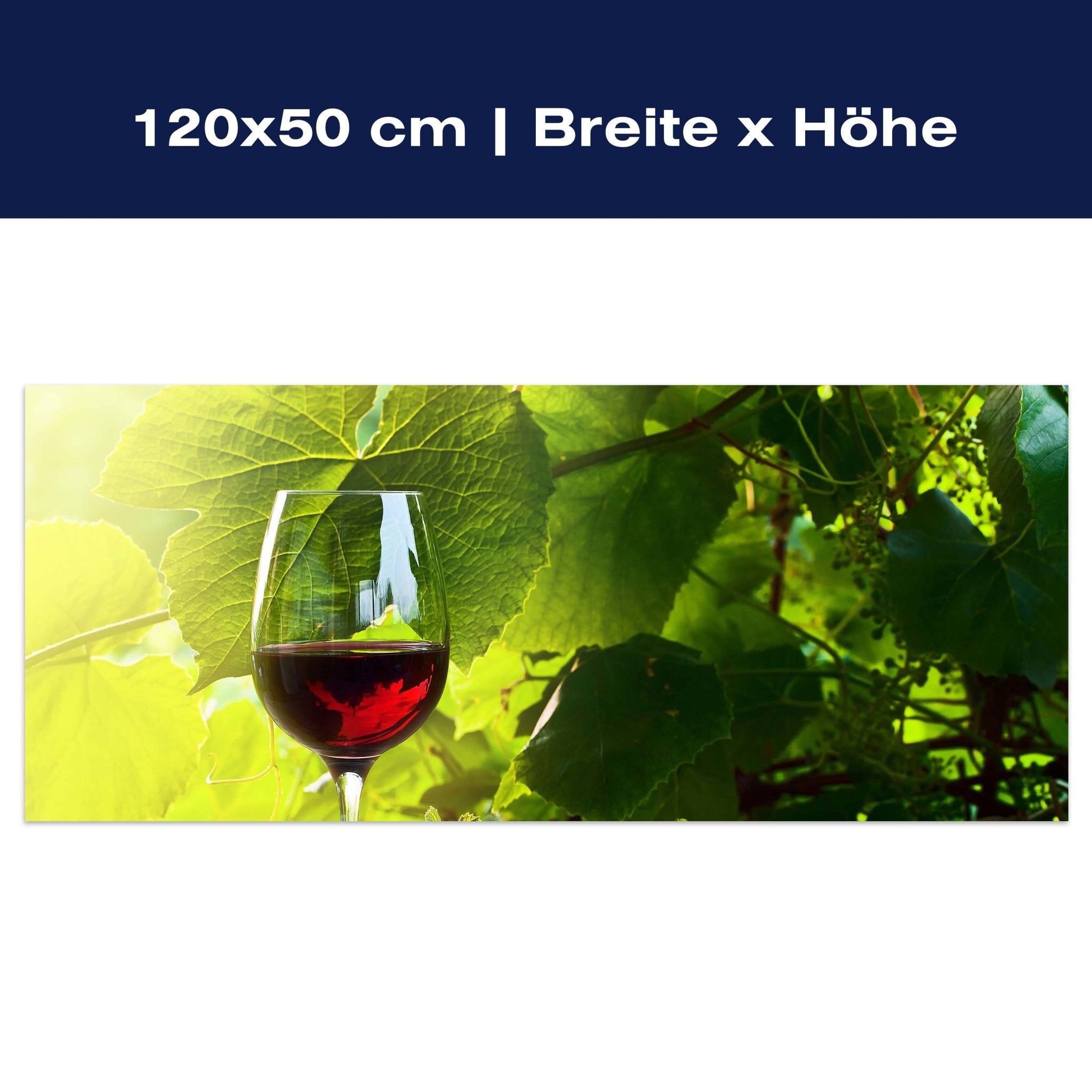 Leinwandbild Glas mit Rotwein im Weinberg M0830 Leinwandbild Glas mit Rotwein im Weinberg M0830