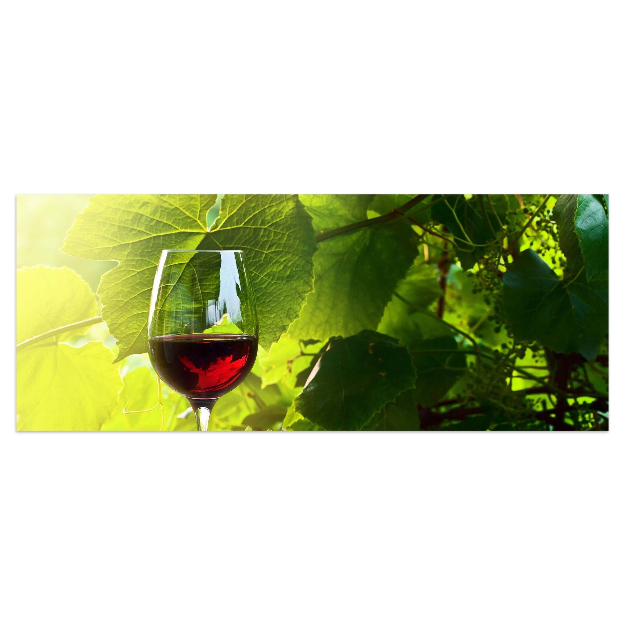 Leinwandbild Glas mit Rotwein im Weinberg M0830 kaufen - Bild 1 Leinwandbild Glas mit Rotwein im Weinberg M0830 kaufen - Bild 1