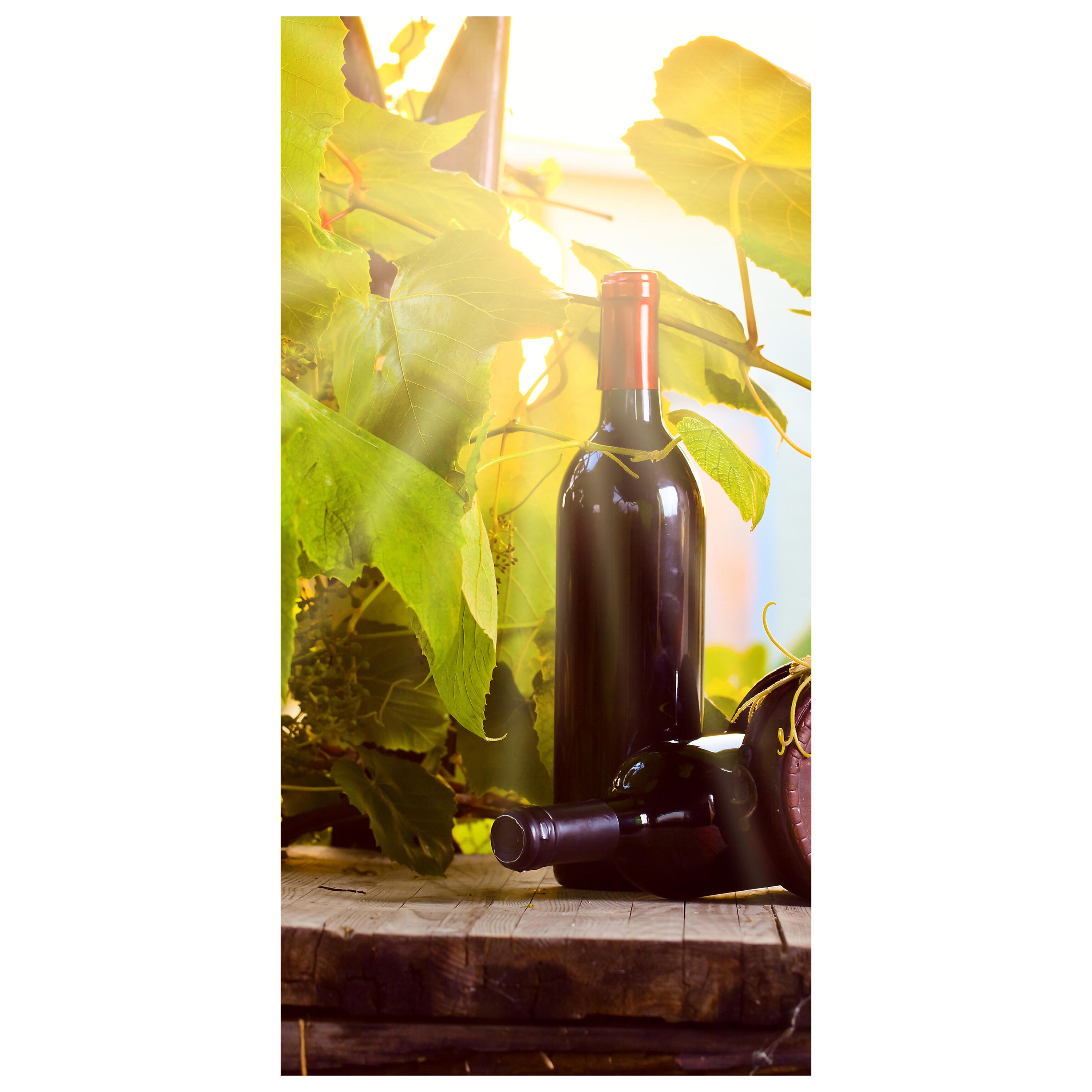 Türtapete Weinberg und Wein M0833 - Bild 2 Türtapete Weinberg und Wein M0833 - Bild 2