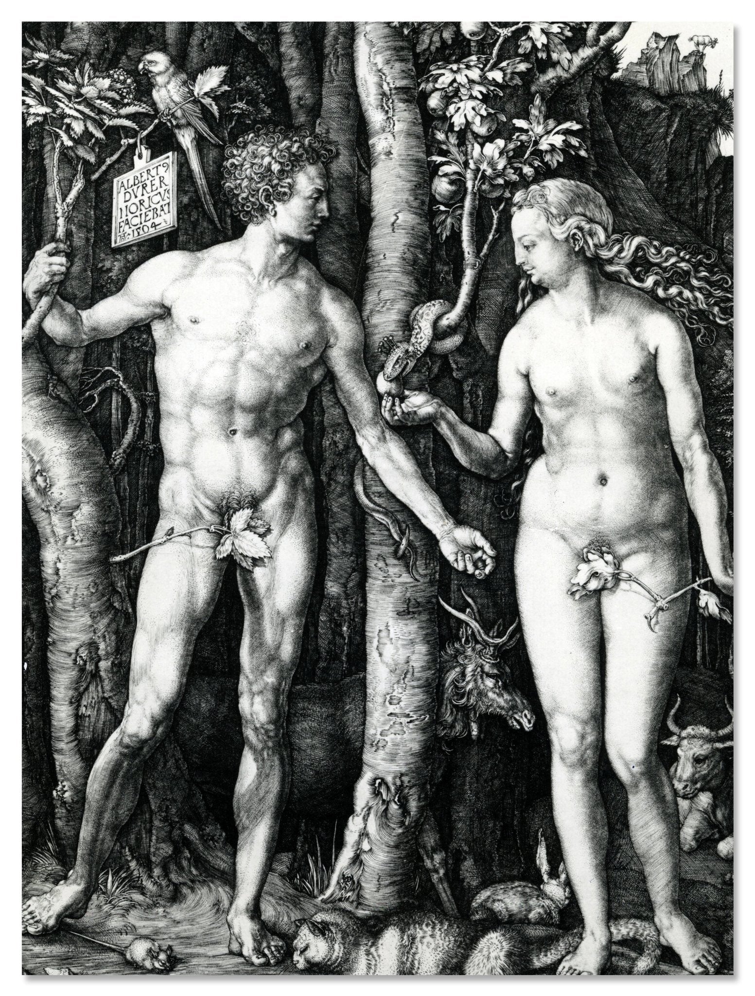 Leinwandbild Adam und Eva, Albrecht Dürer M0863 Leinwandbild Adam und Eva, Albrecht Dürer M0863