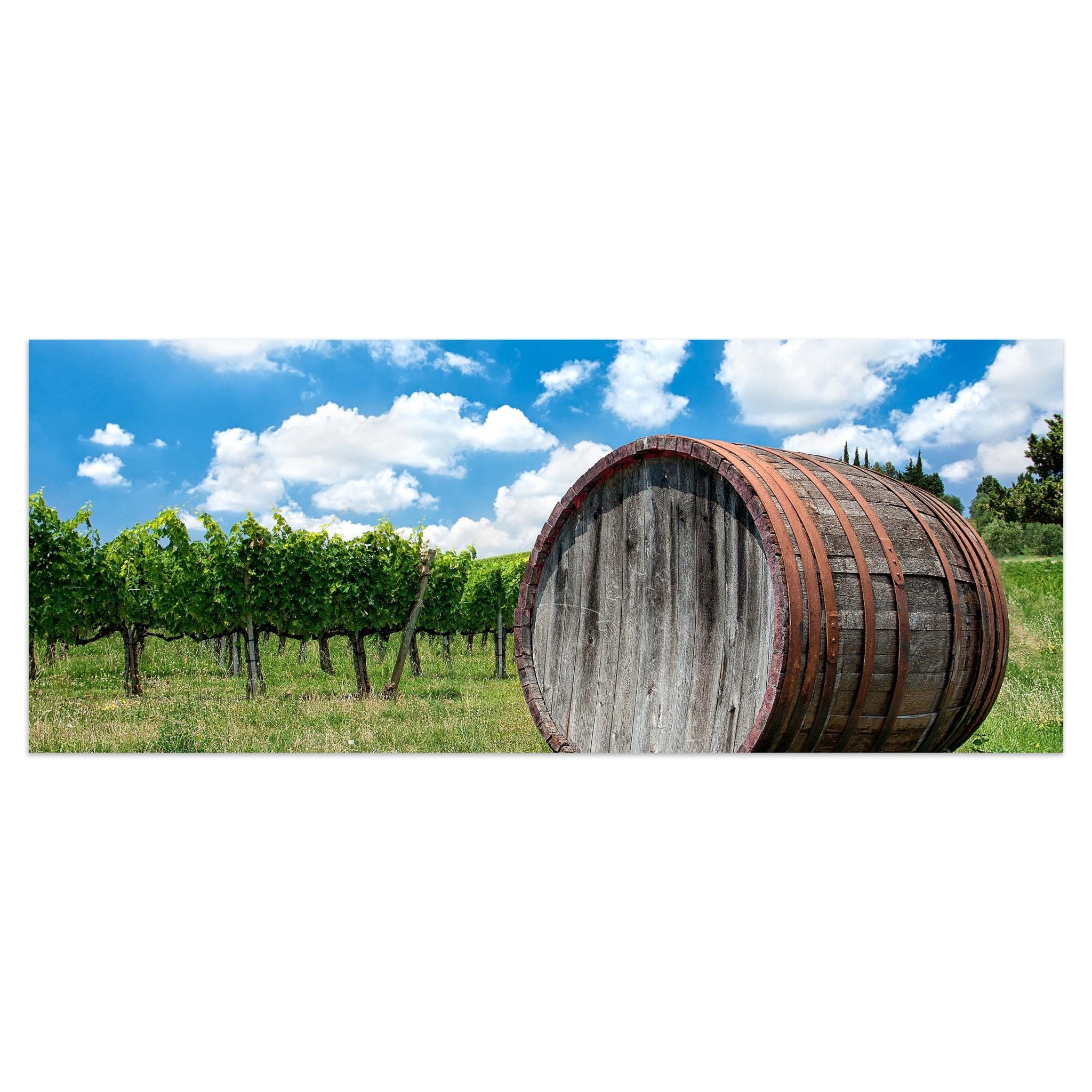 Leinwandbild Weinfass in der Toskana M0873 kaufen - Bild 1 Leinwandbild Weinfass in der Toskana M0873 kaufen - Bild 1