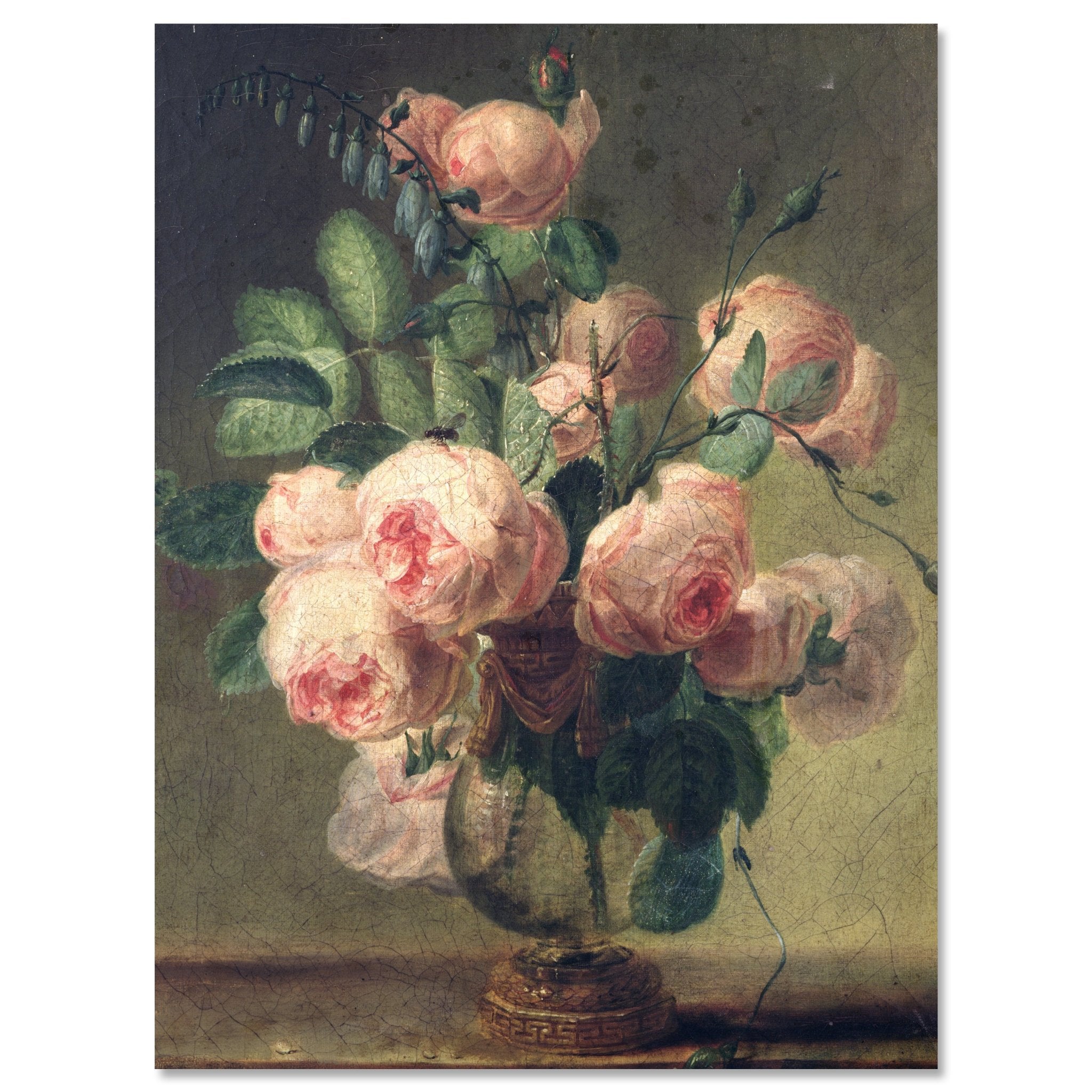 Leinwandbild Pfingstrosen - Pierre-Joseph Redouté M0886 kaufen - Bild 1 Leinwandbild Pfingstrosen - Pierre-Joseph Redouté M0886 kaufen - Bild 1