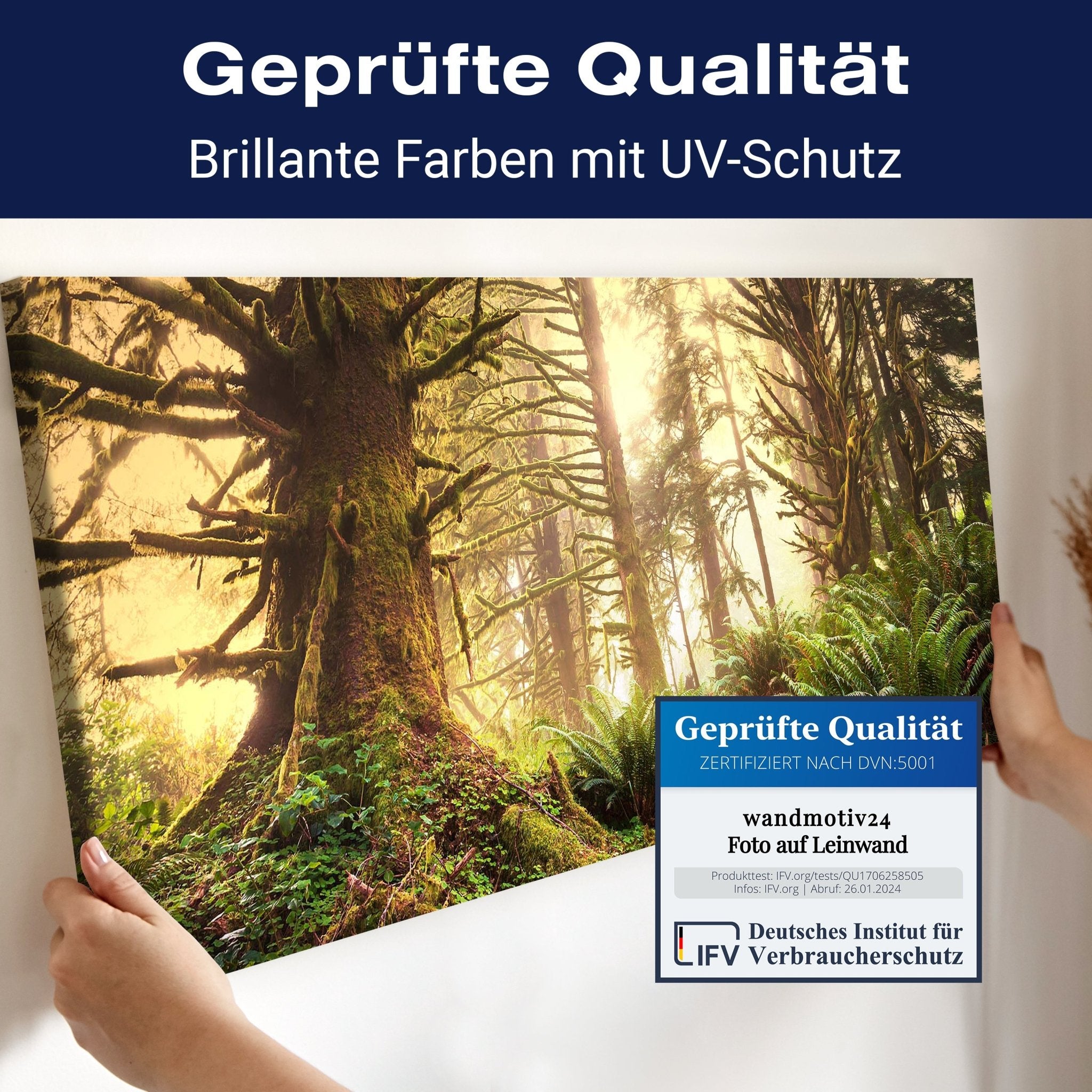 Leinwandbild Regenwald im Olympischen Nationalpark M0887 kaufen - Bild 4 Leinwandbild Regenwald im Olympischen Nationalpark M0887 kaufen - Bild 4