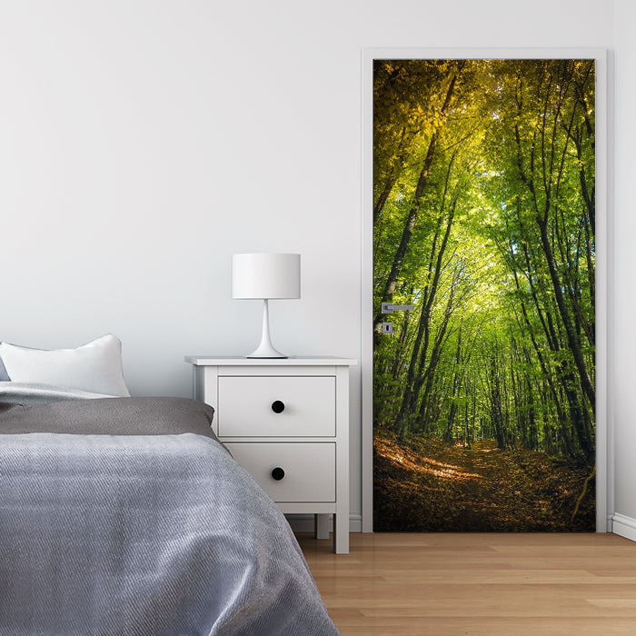 Türtapete Dunkler Weg im Wald M0923 - Bild 1 Türtapete Dunkler Weg im Wald M0923 - Bild 1