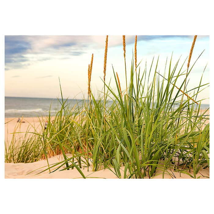 Fototapete Strand M0927 - Bild 2 Fototapete Strand M0927 - Bild 2