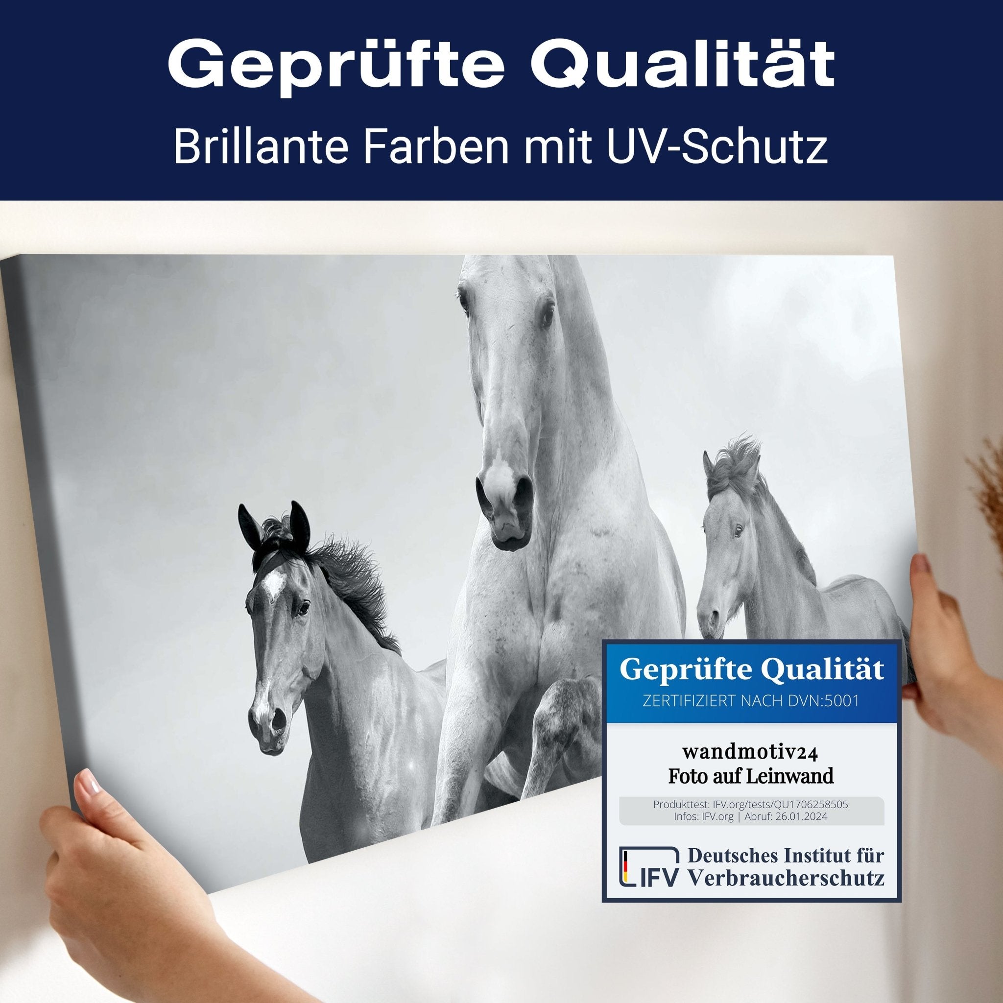 Leinwandbild Pferde laufen in Weiß und Schwarz M0945 kaufen - Bild 4 Leinwandbild Pferde laufen in Weiß und Schwarz M0945 kaufen - Bild 4