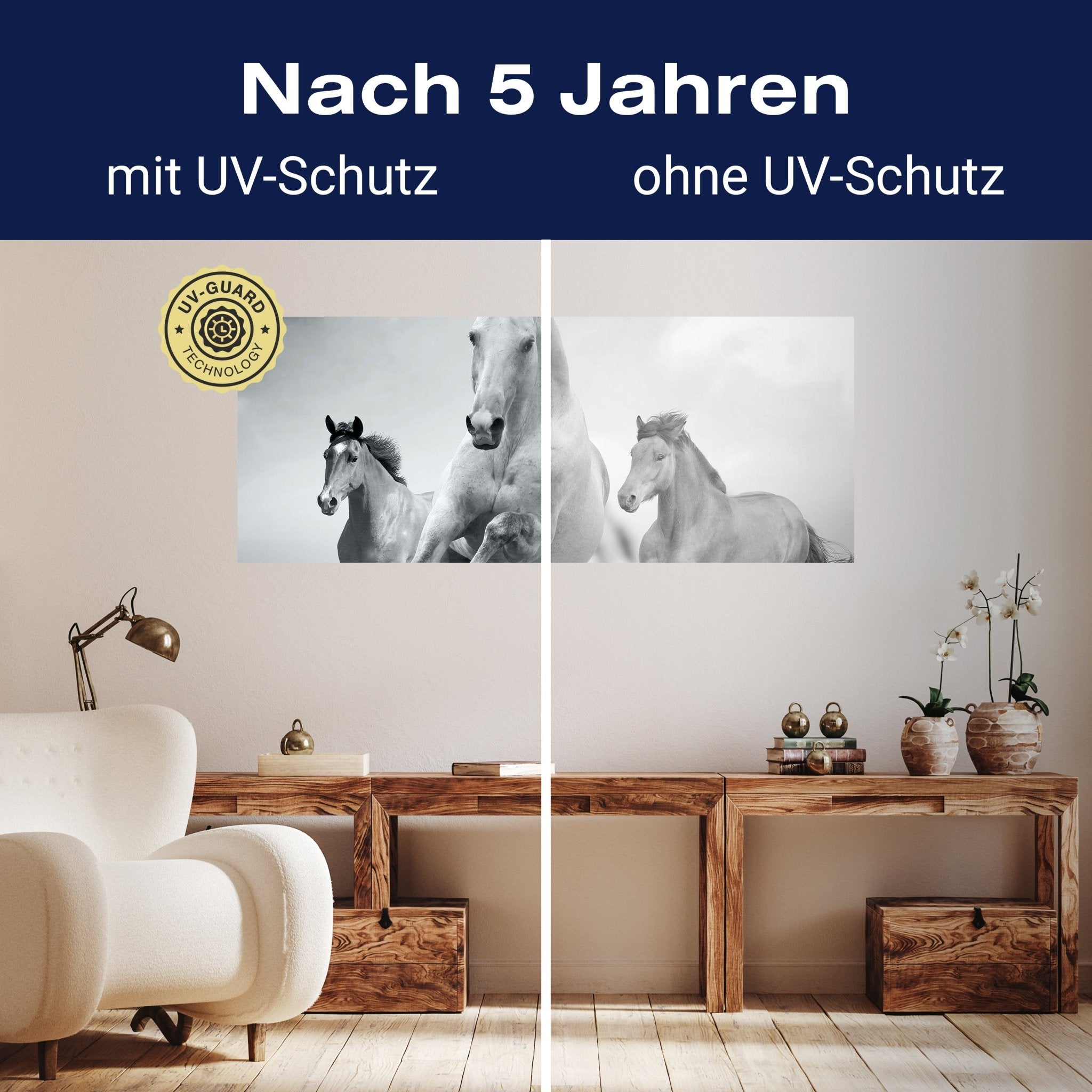 Leinwandbild Pferde laufen in Weiß und Schwarz M0945 kaufen - Bild 9 Leinwandbild Pferde laufen in Weiß und Schwarz M0945 kaufen - Bild 9