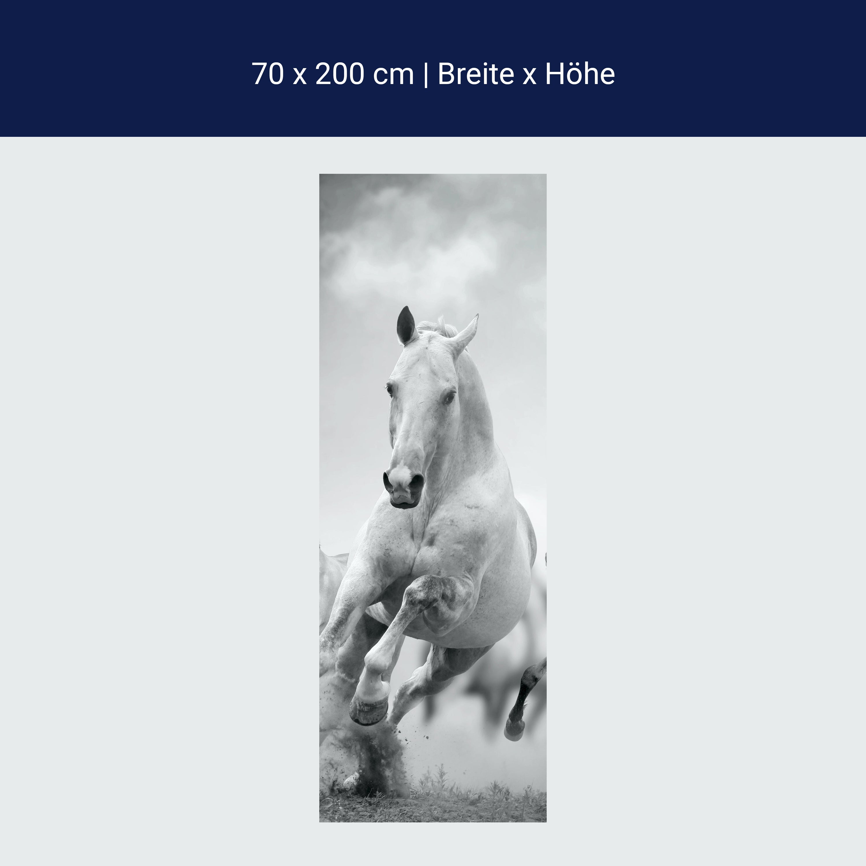 Türtapete Pferde laufen in Weiß und Schwarz M0945 Türtapete Pferde laufen in Weiß und Schwarz M0945