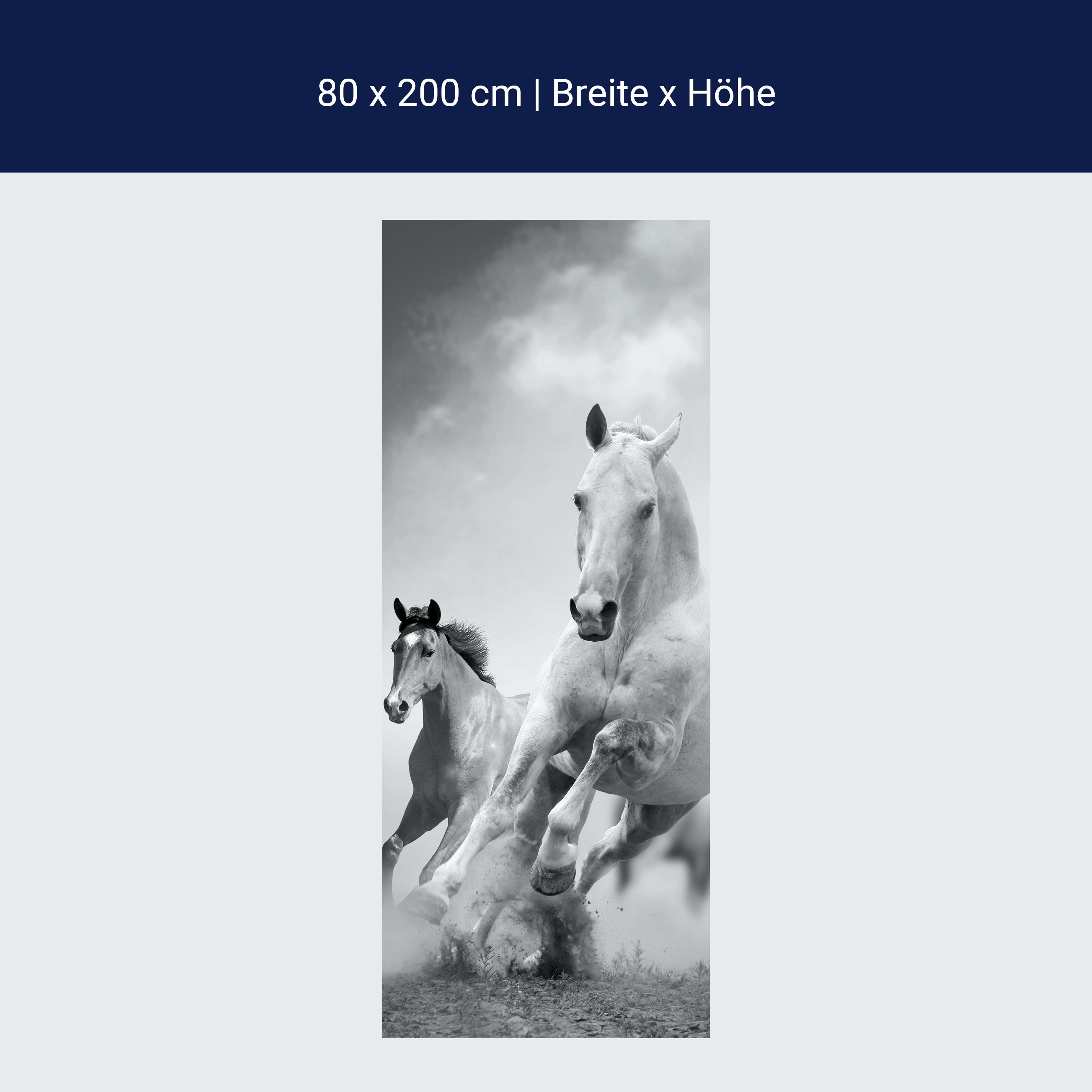 Türtapete Pferde laufen in Weiß und Schwarz M0945 Türtapete Pferde laufen in Weiß und Schwarz M0945